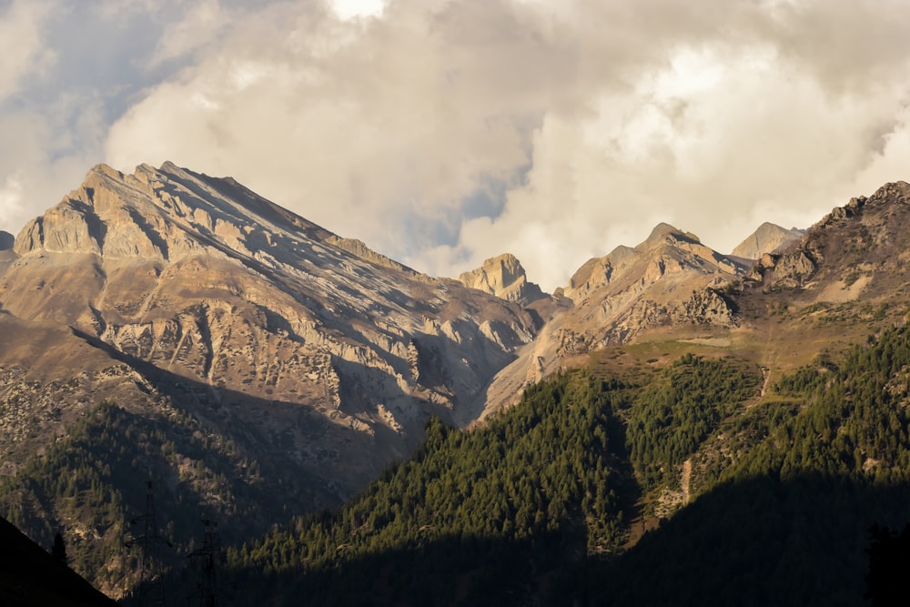 a mountain range with trees