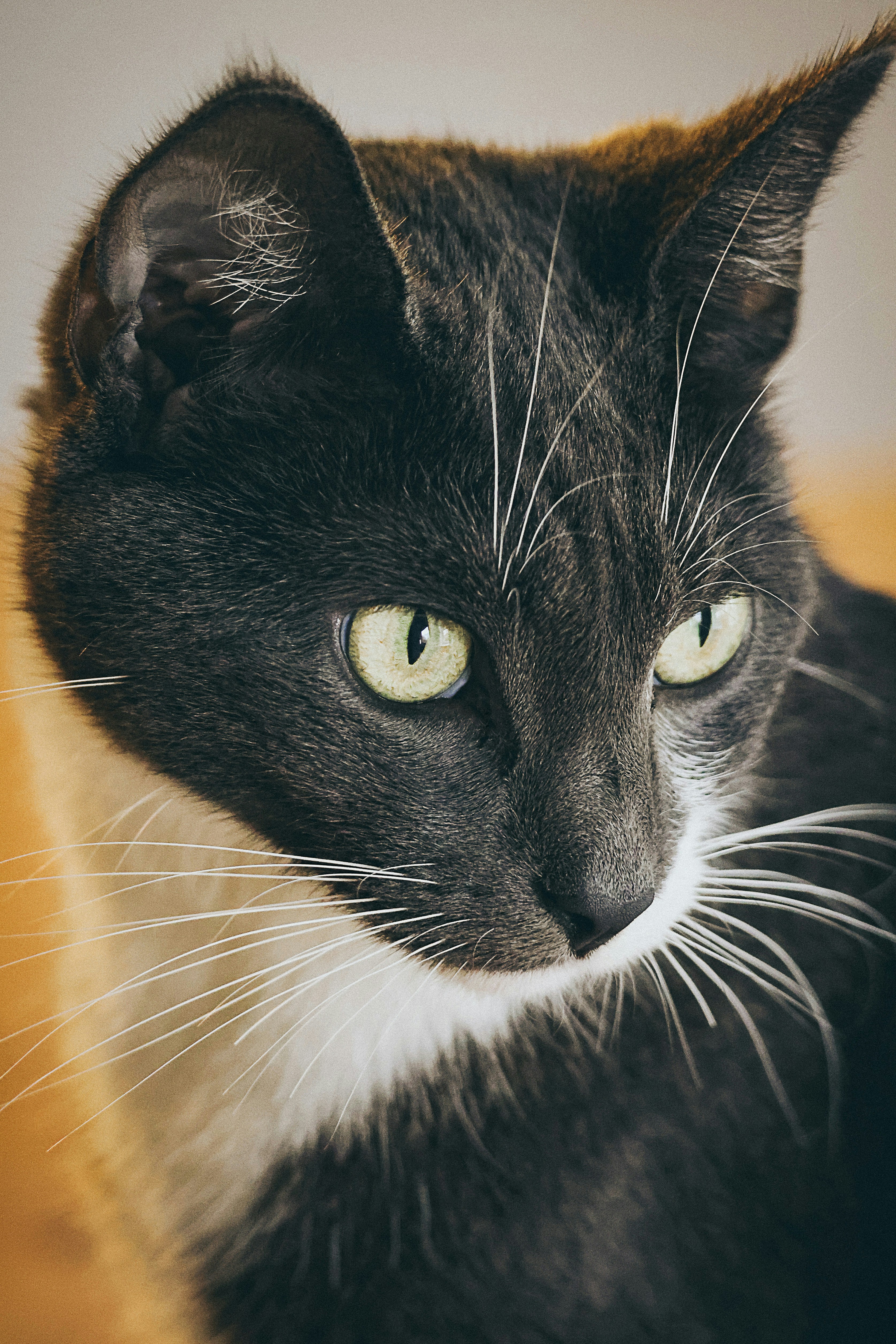 Photo by nickkarvounis