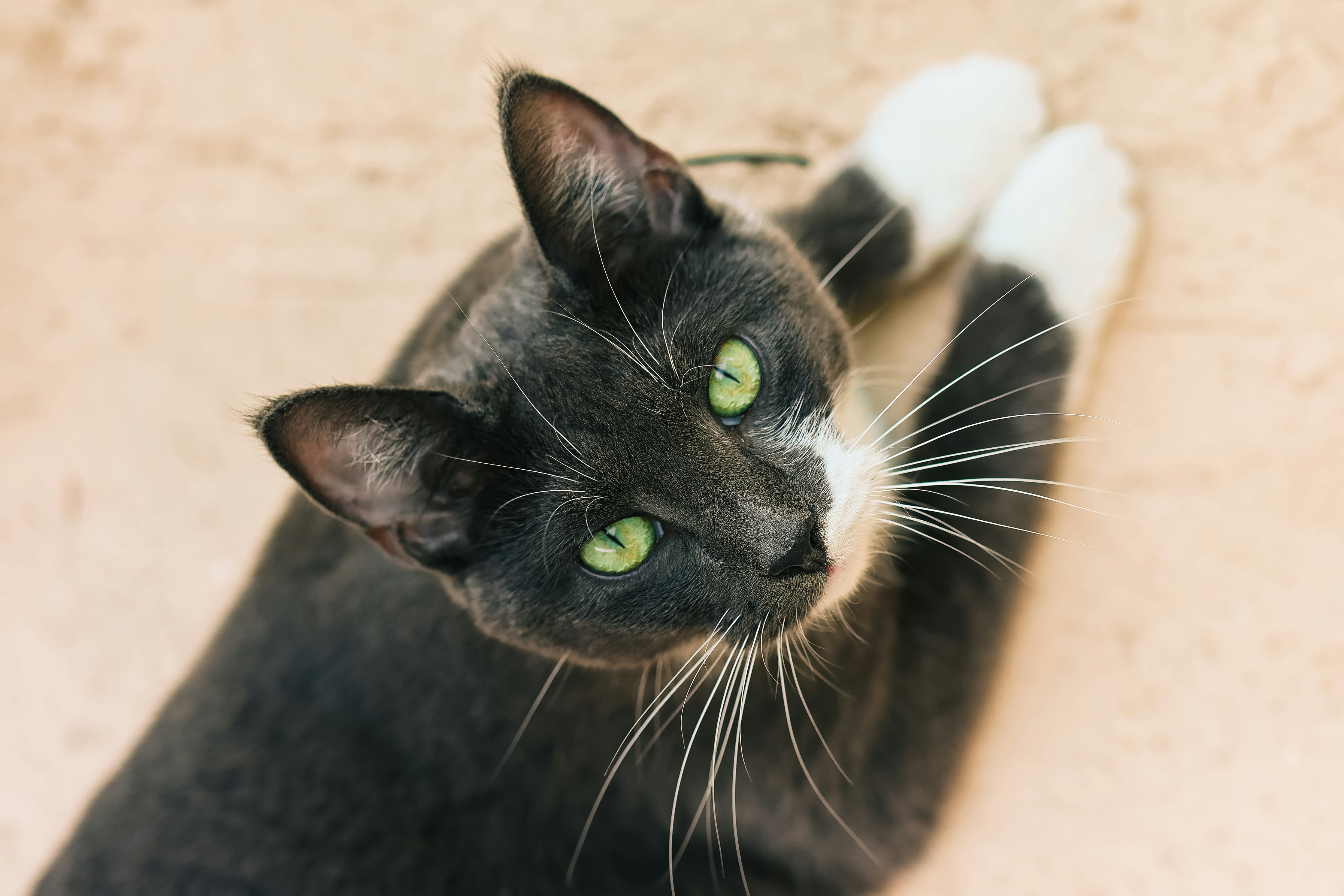 Photo by nickkarvounis