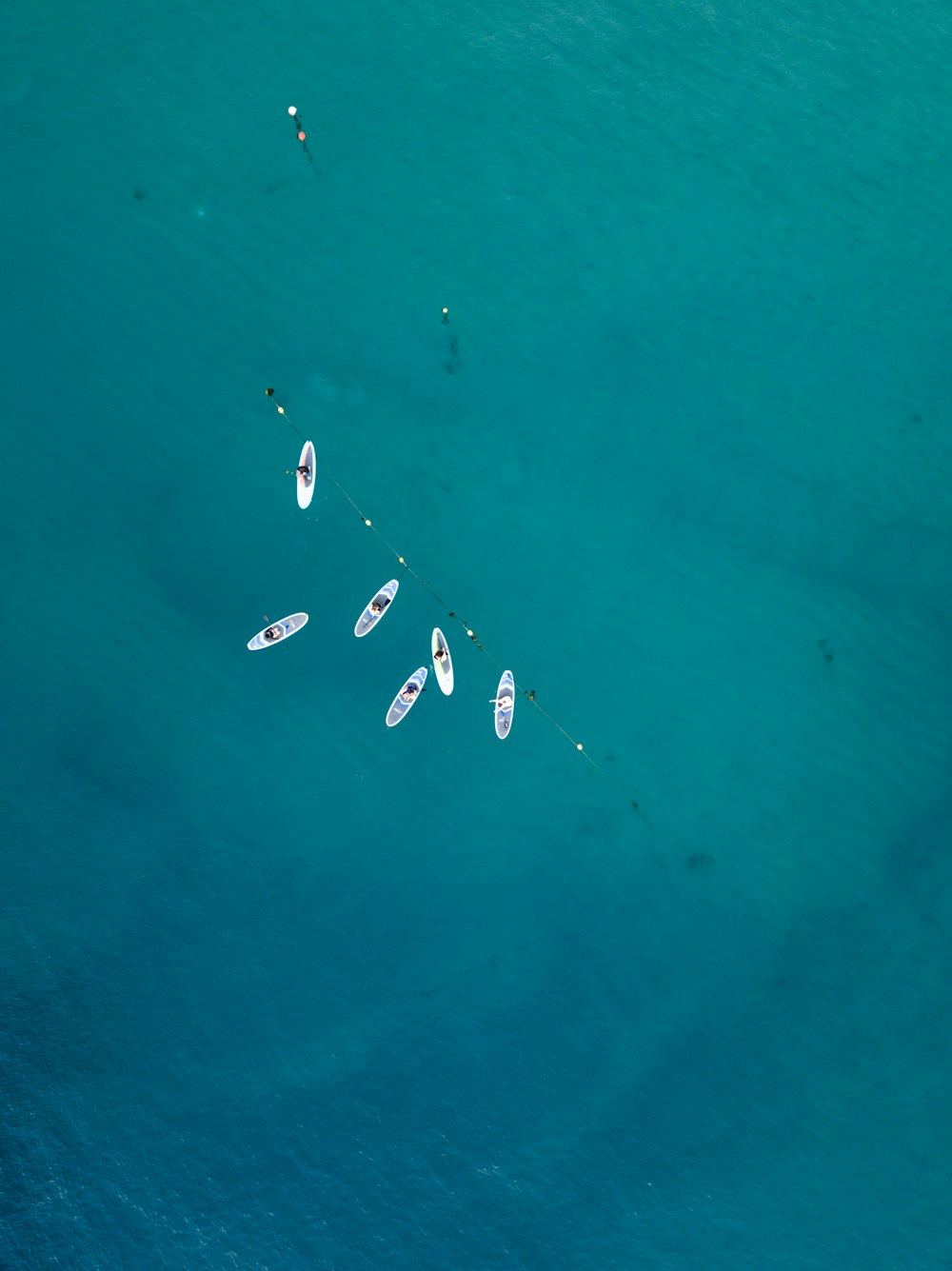 a group of kites flying in the sky