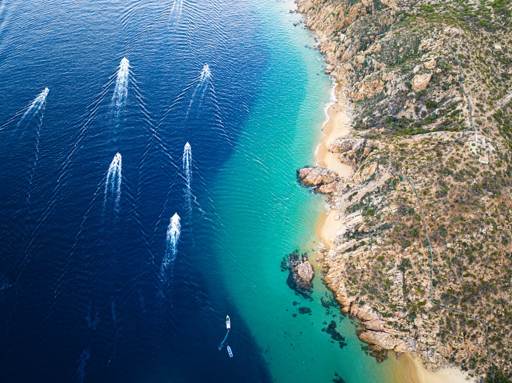 Un grupo de pájaros volando sobre una playa