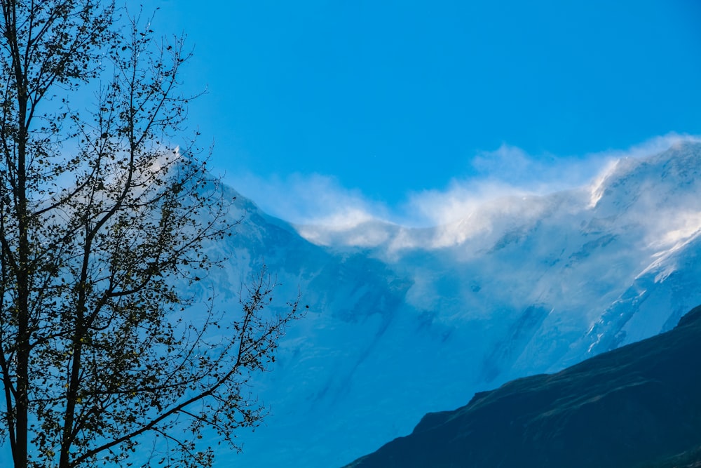 a view of a mountain range from a distance