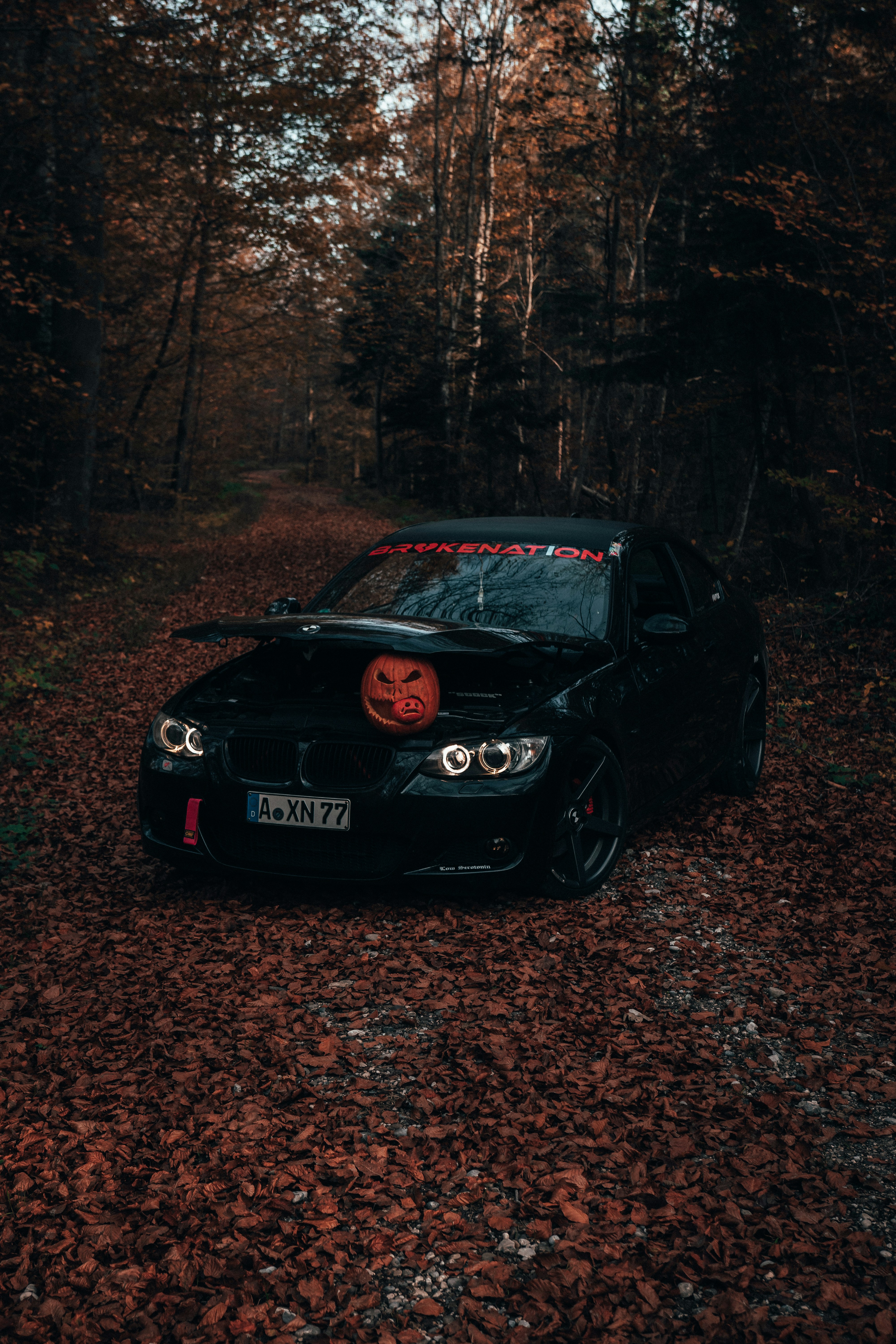 Photo by solbrigkevin