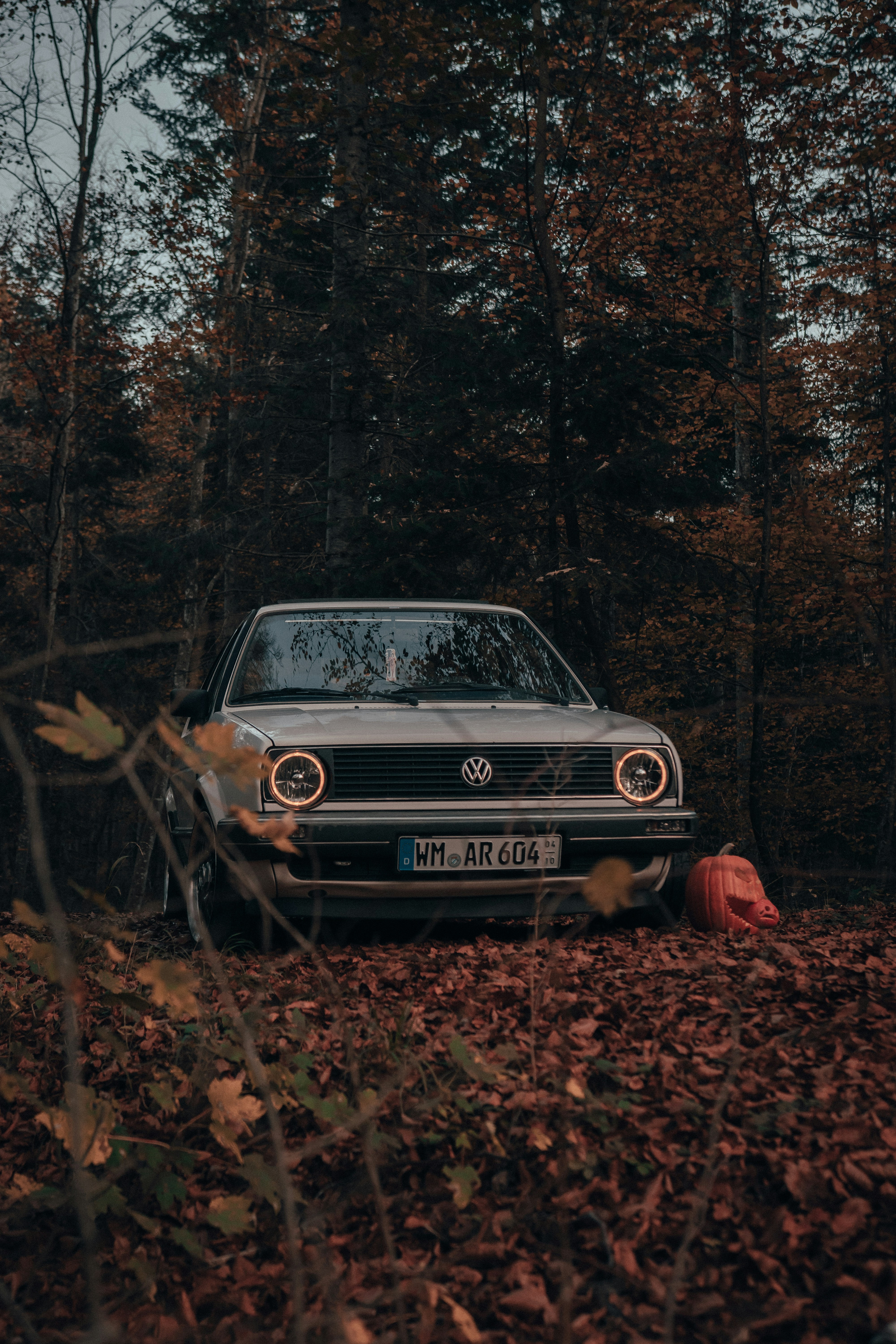 Photo by solbrigkevin