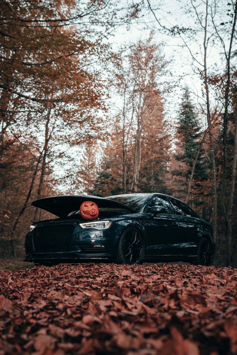 a black car parked in a wooded area