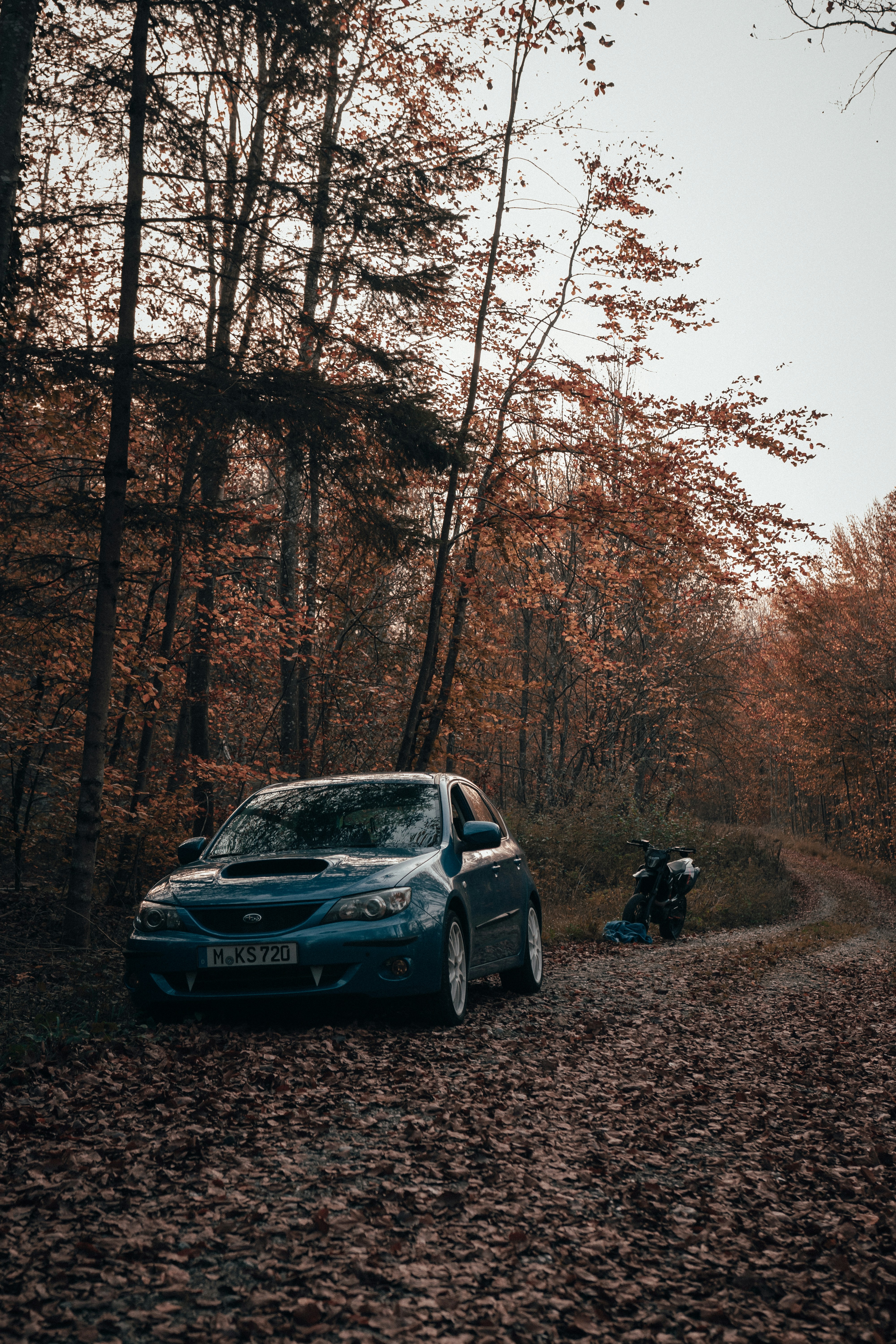 Photo by solbrigkevin