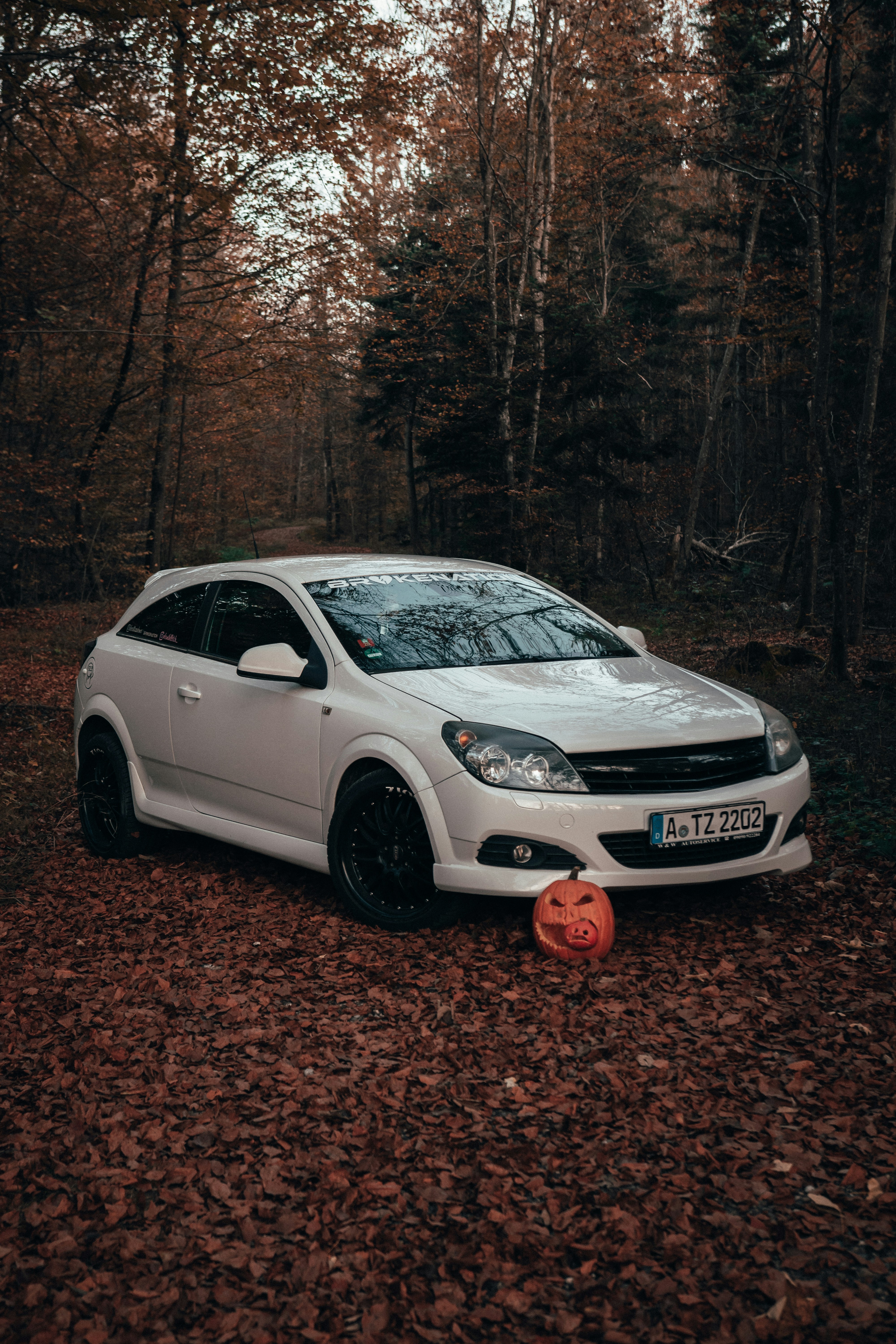 Photo by solbrigkevin