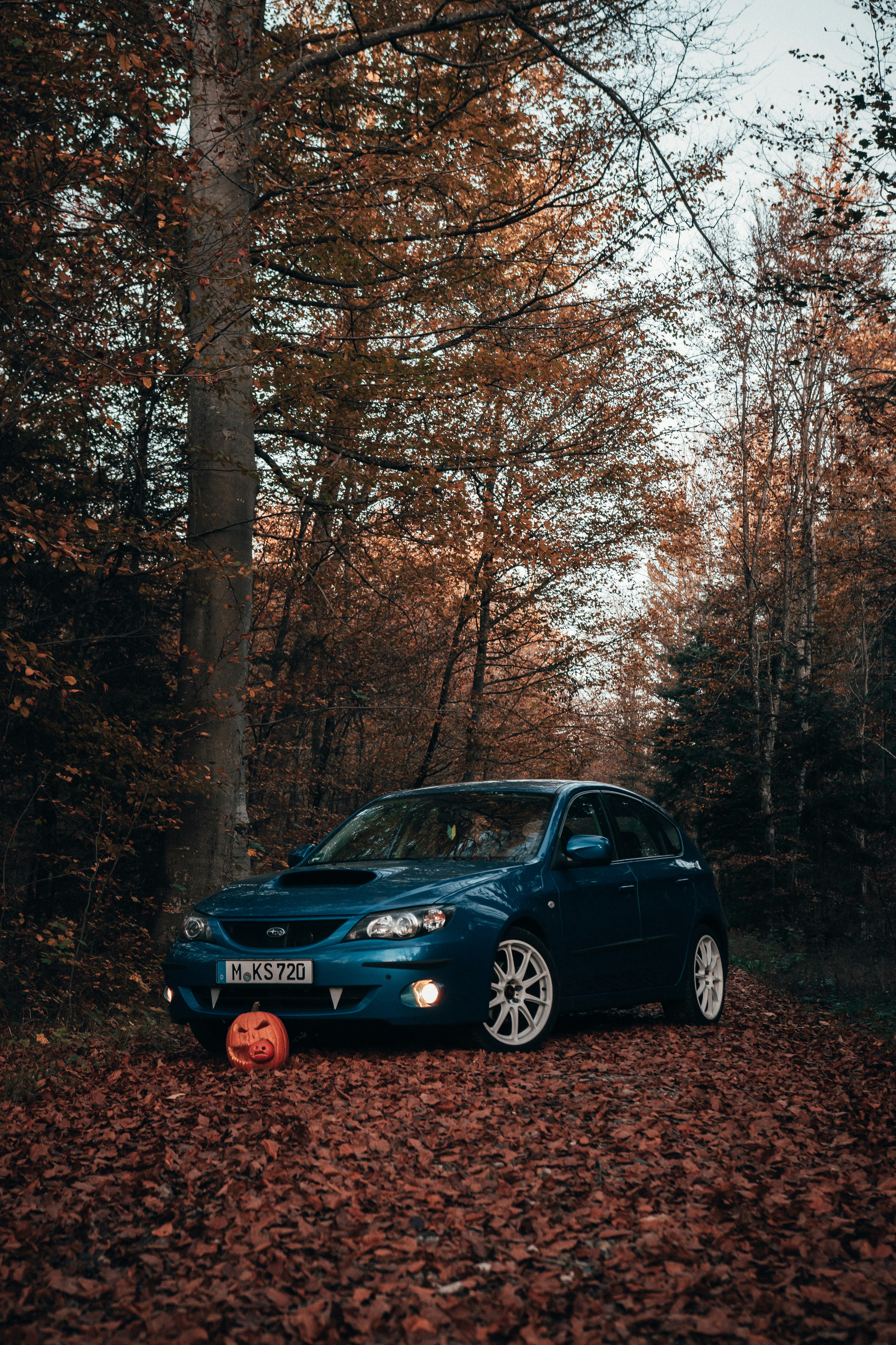 Photo by solbrigkevin