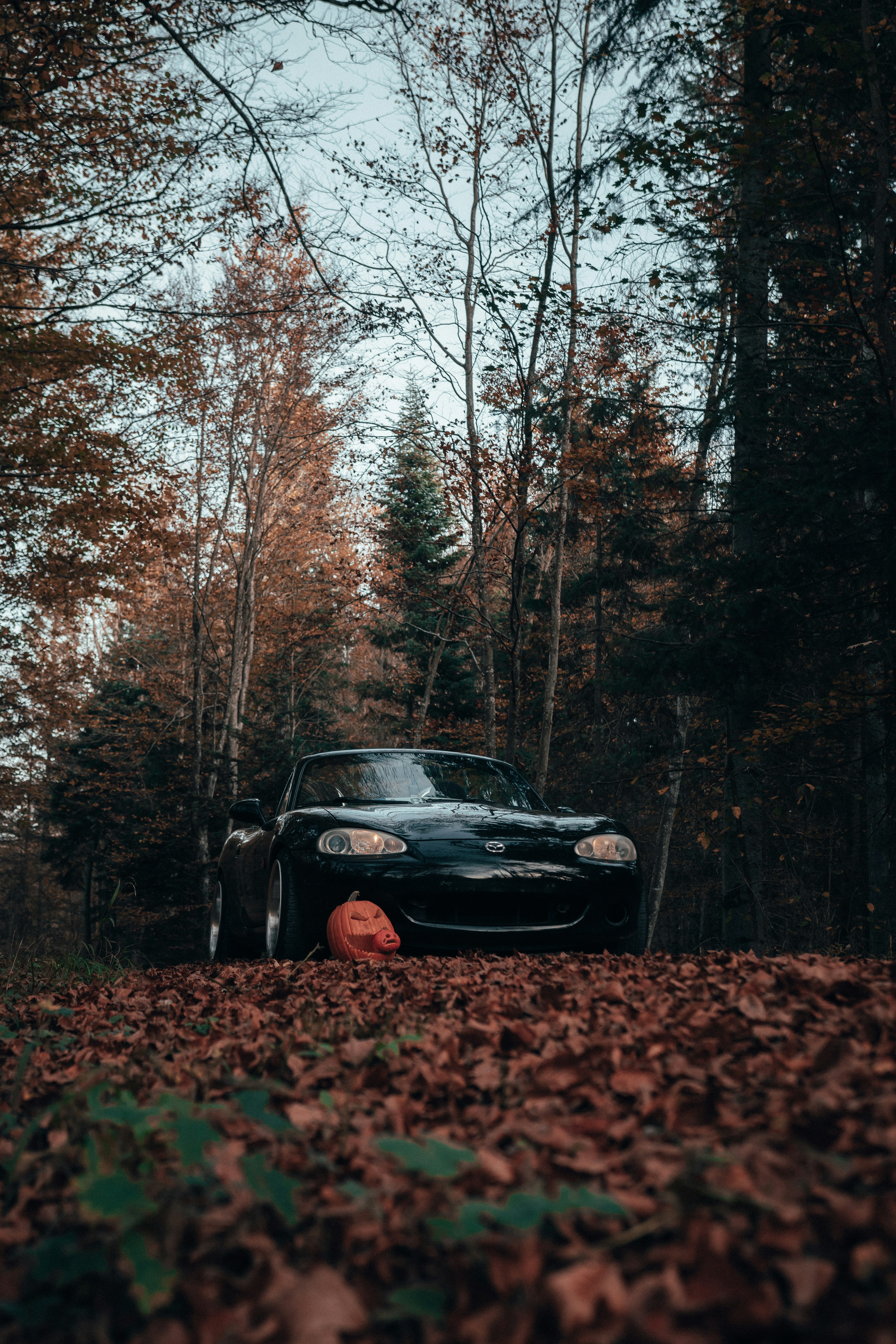 Photo by solbrigkevin