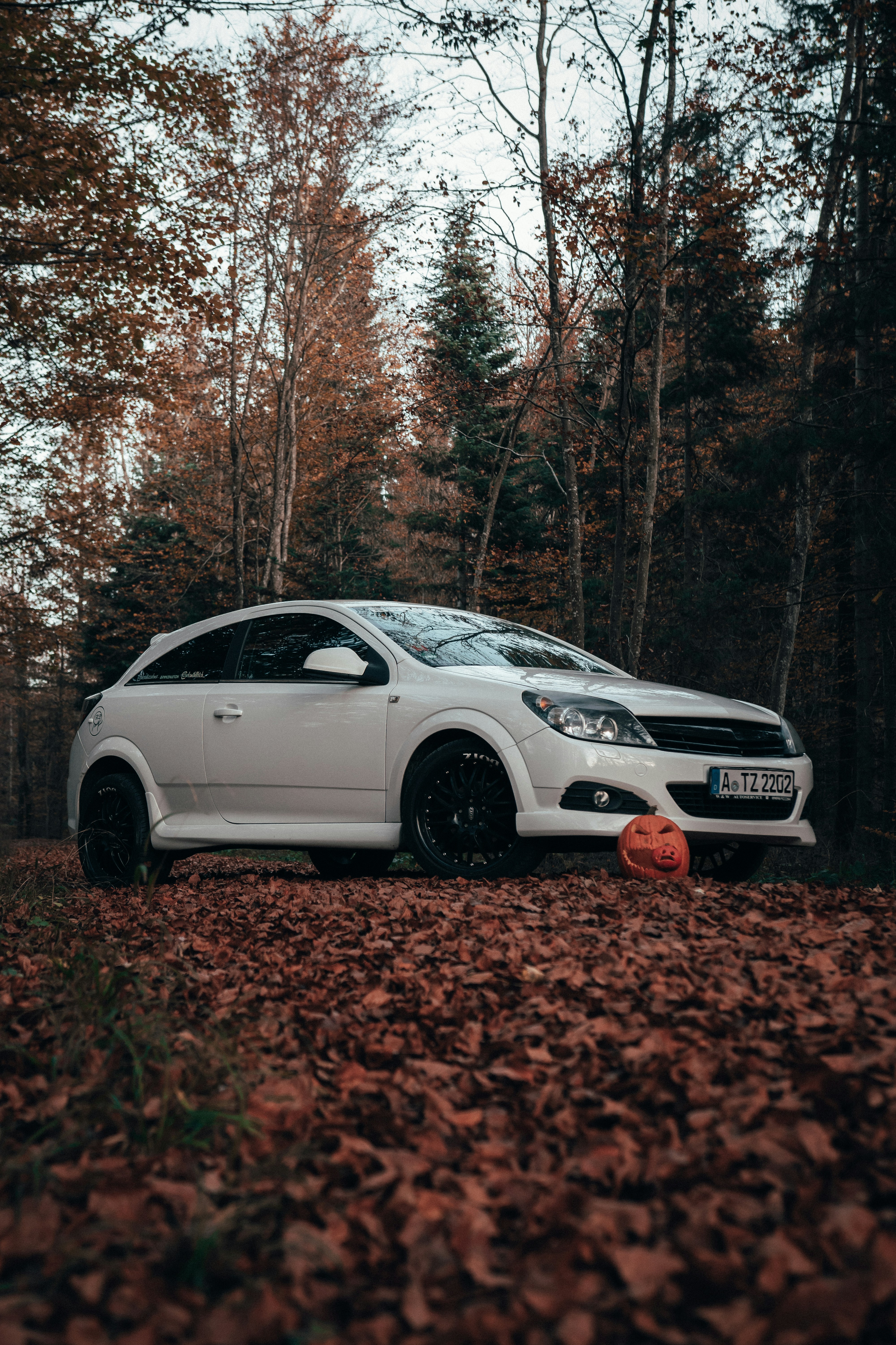 Photo by solbrigkevin