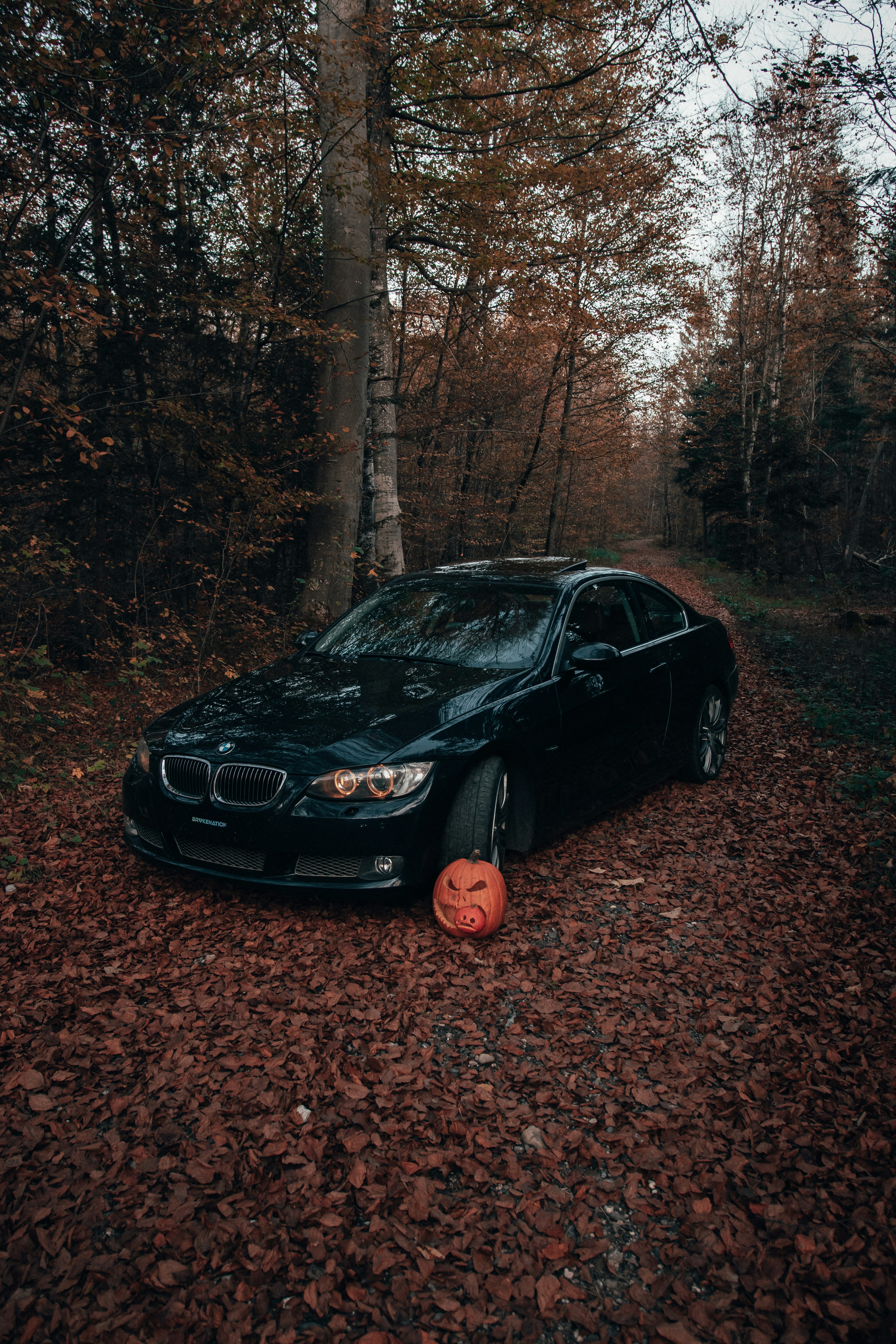 Photo by solbrigkevin