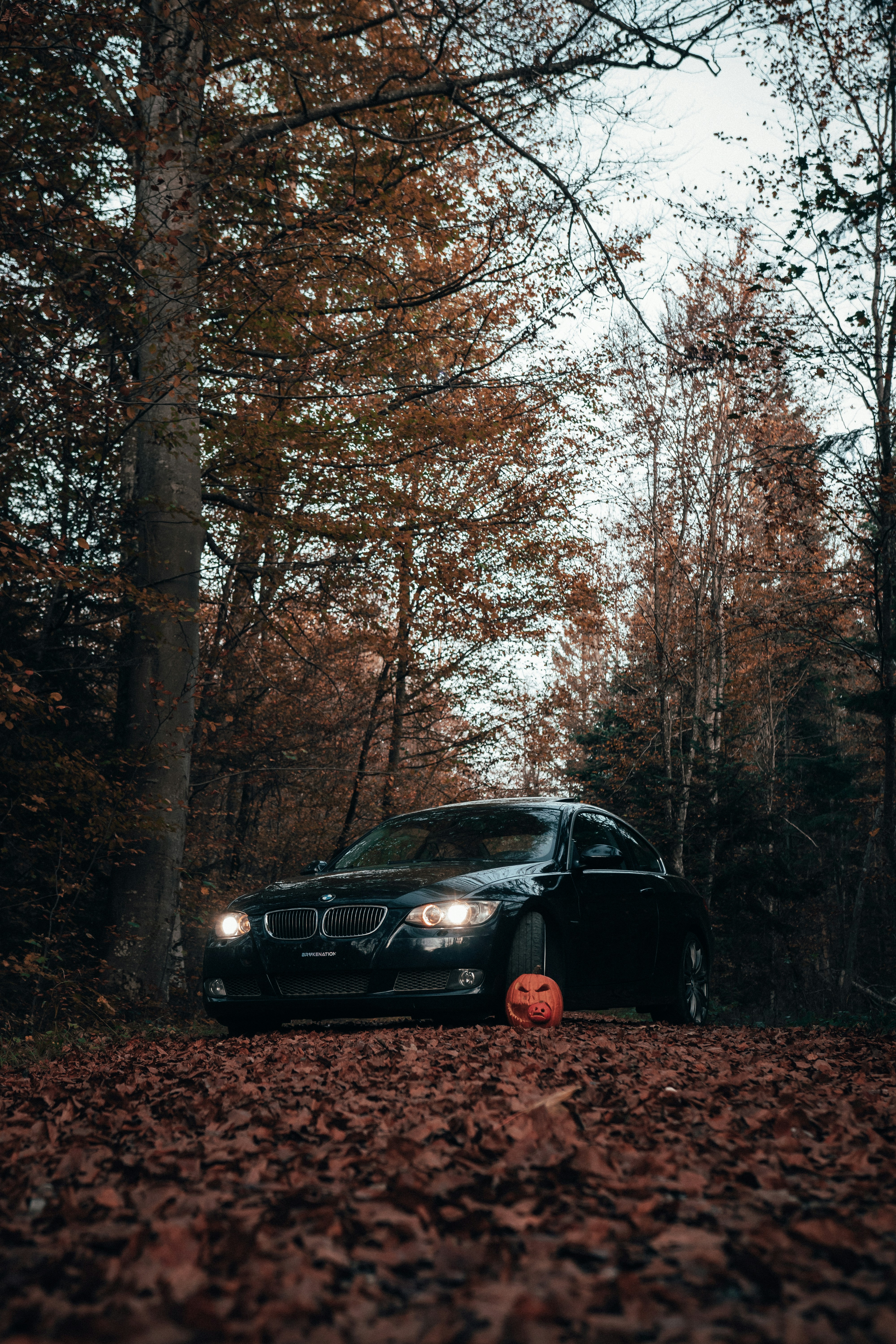 Photo by solbrigkevin