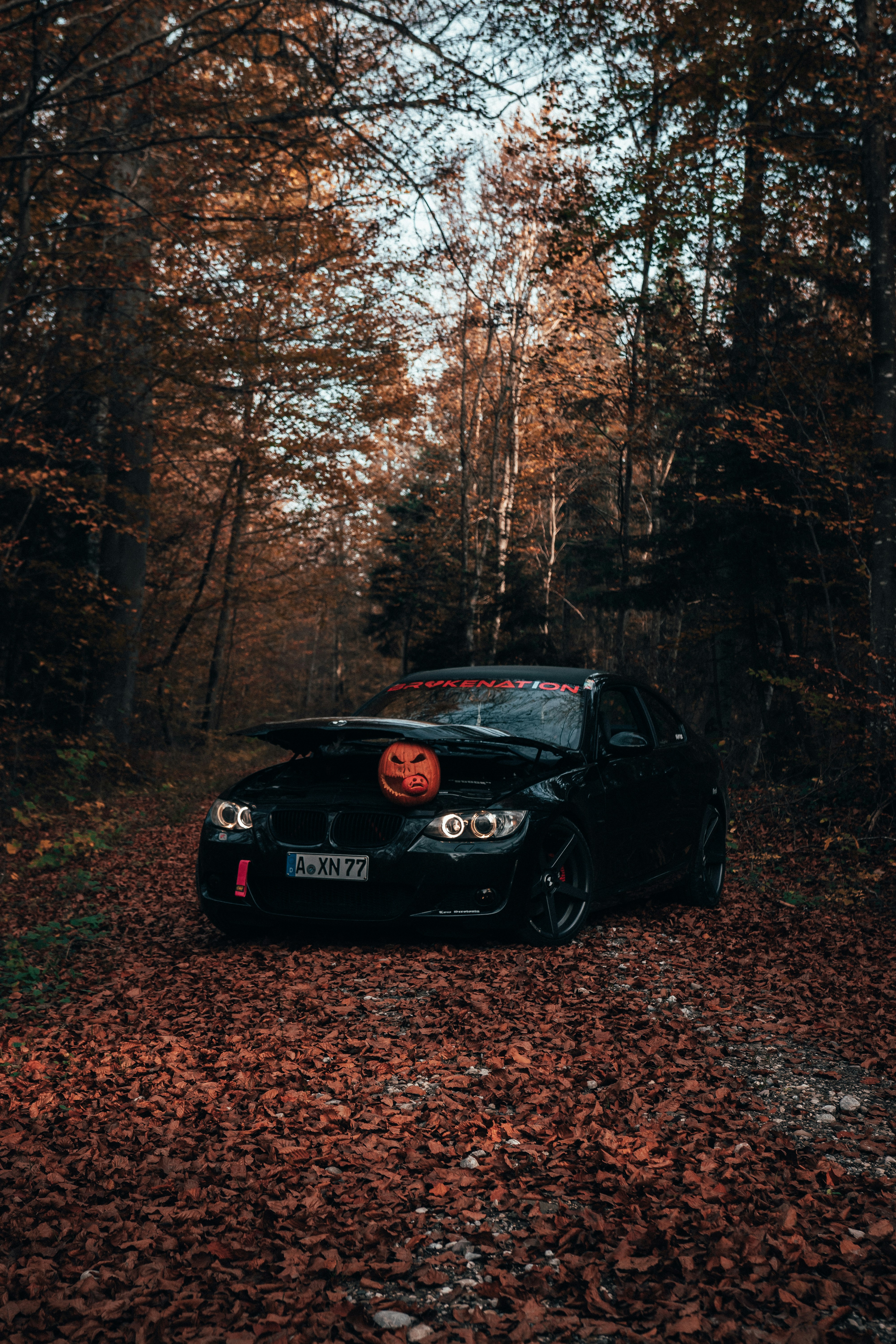 Photo by solbrigkevin