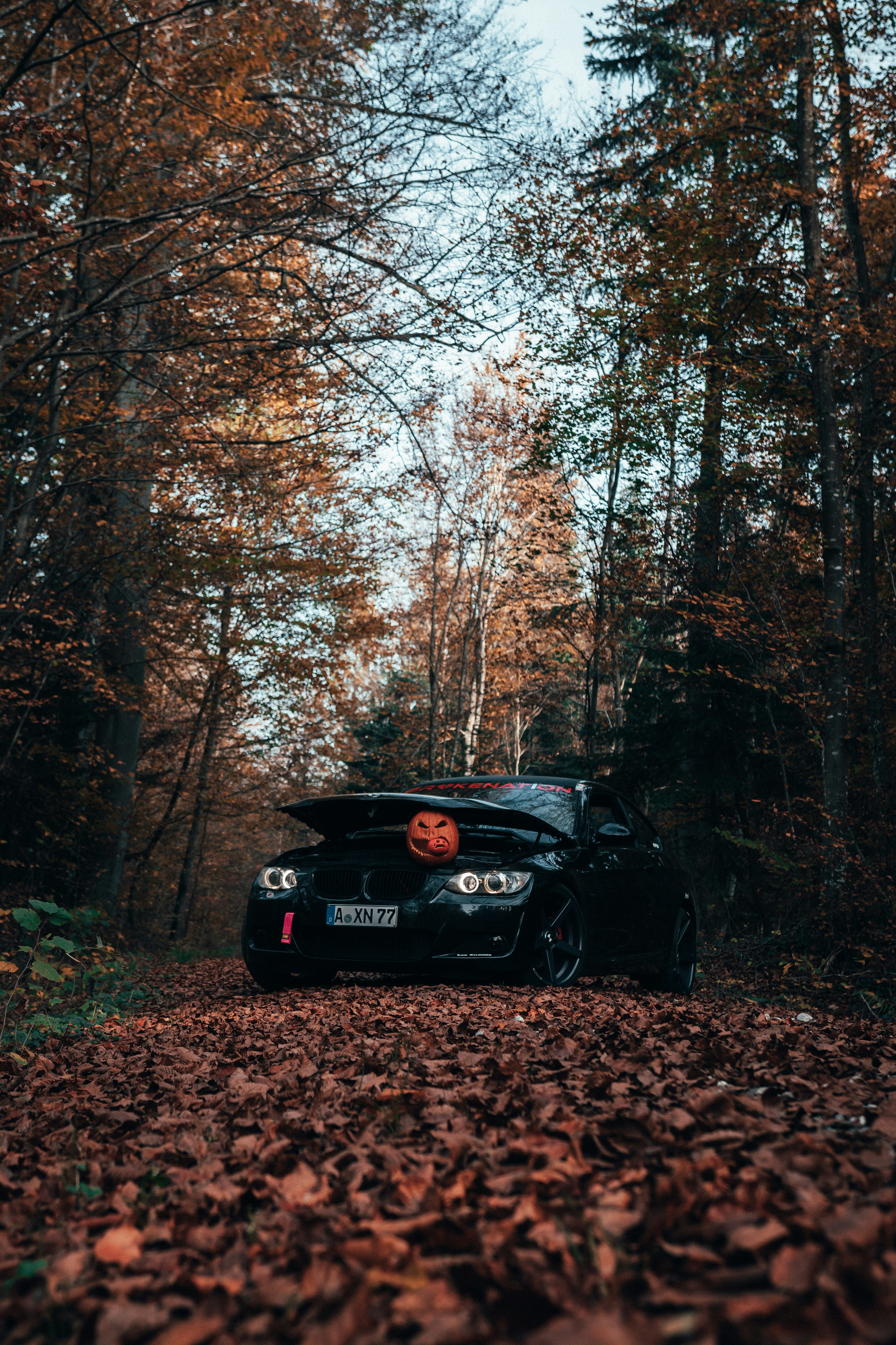 Photo by solbrigkevin