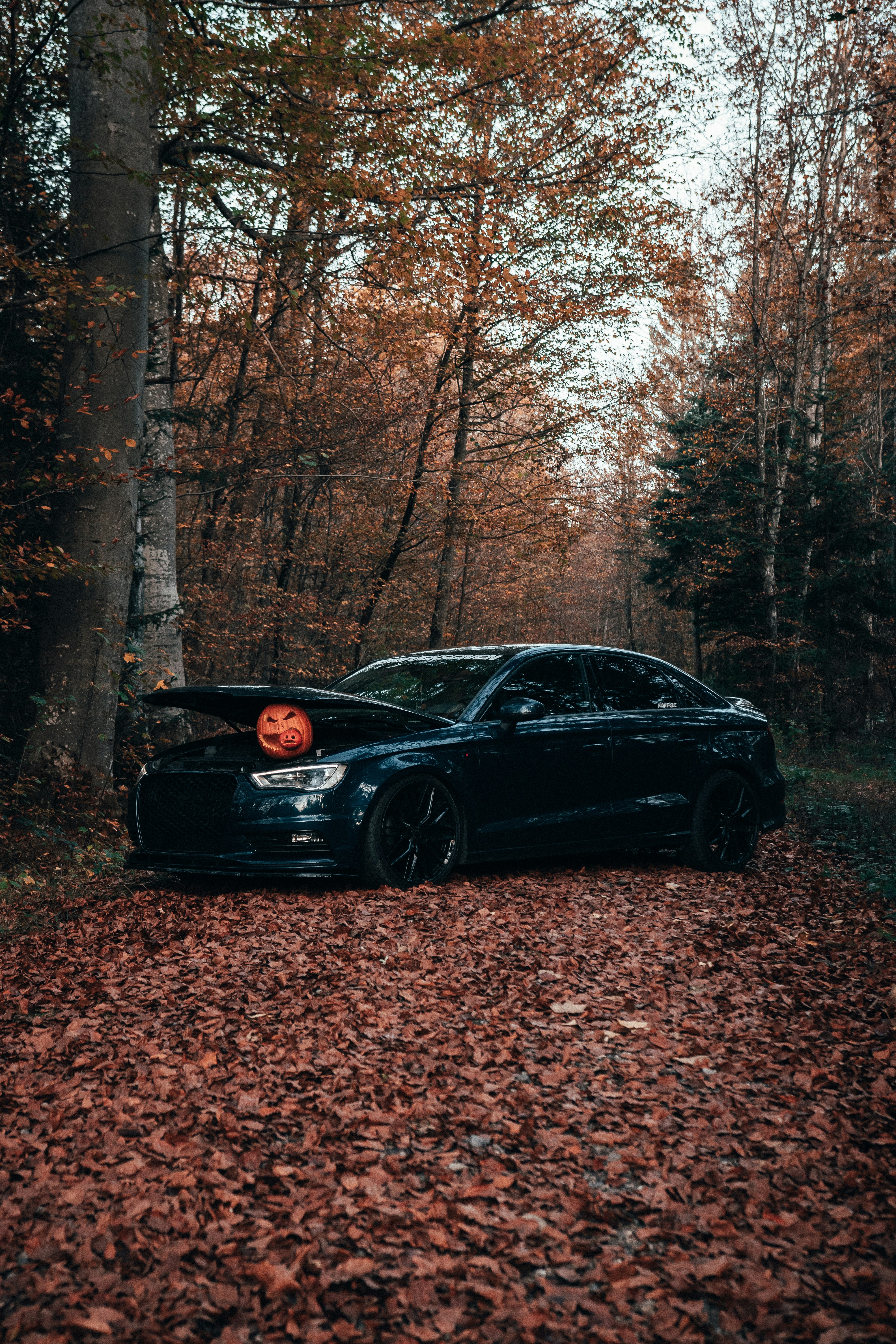 Photo by solbrigkevin