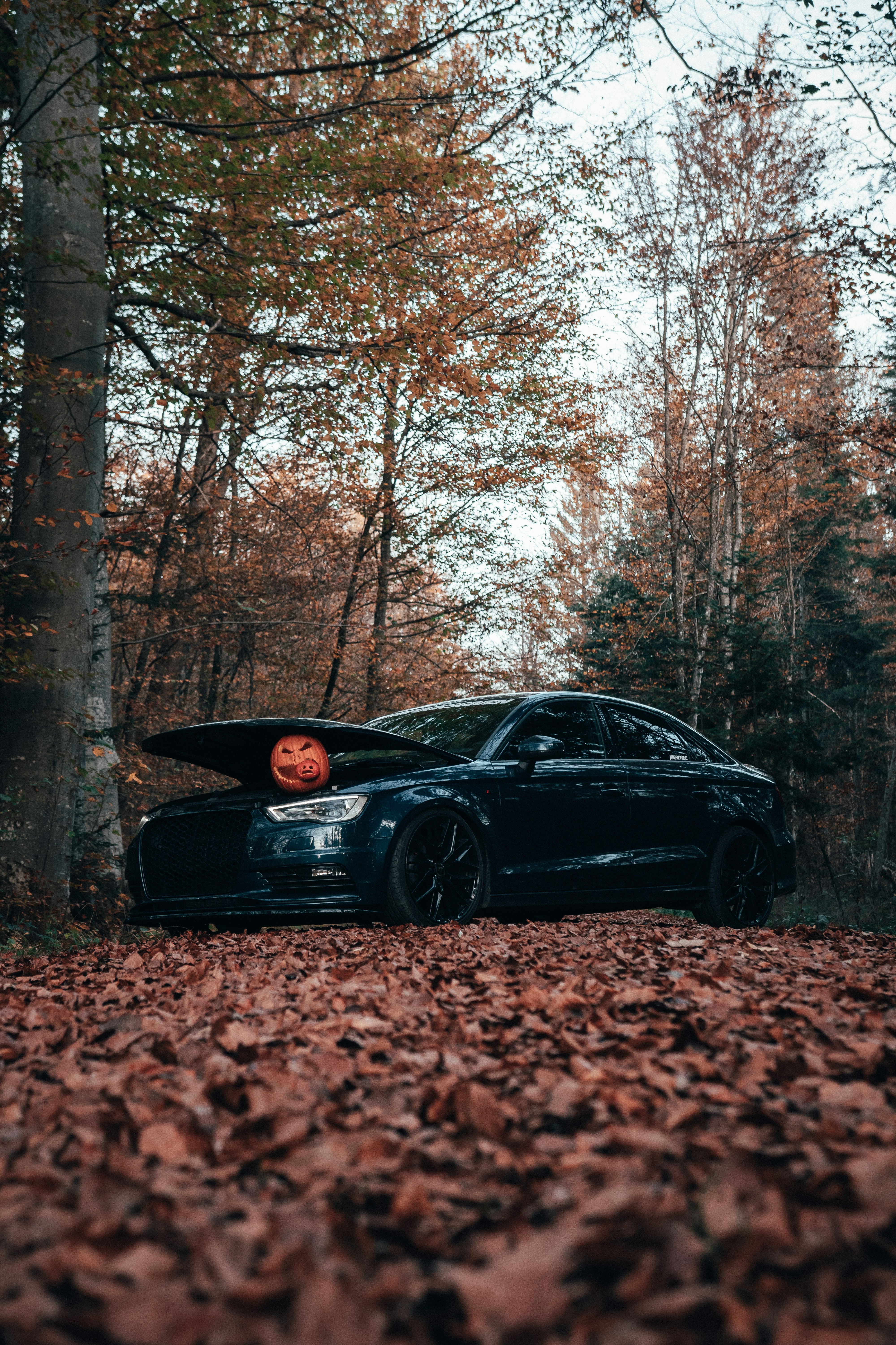 Photo by solbrigkevin