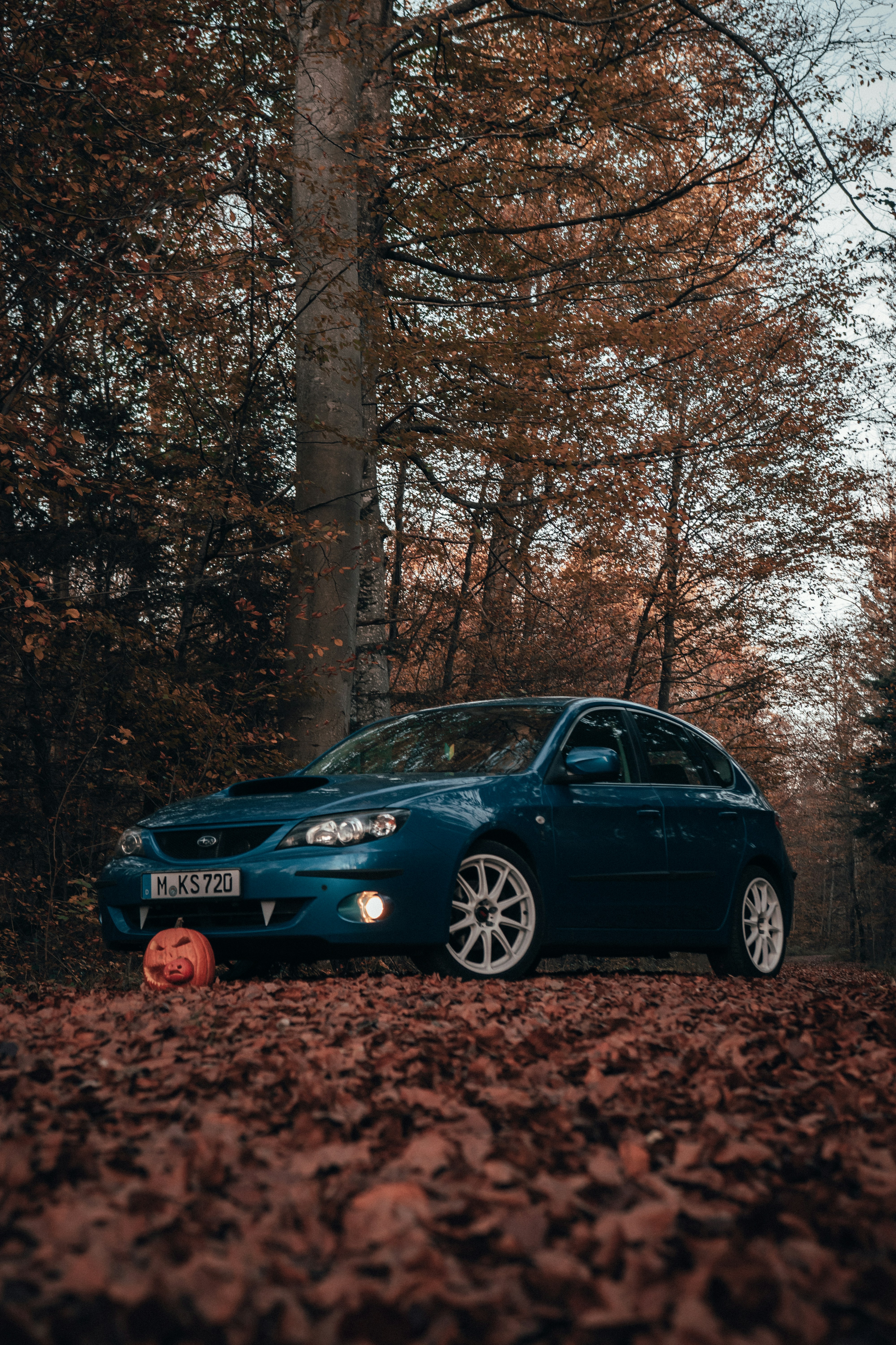 Photo by solbrigkevin