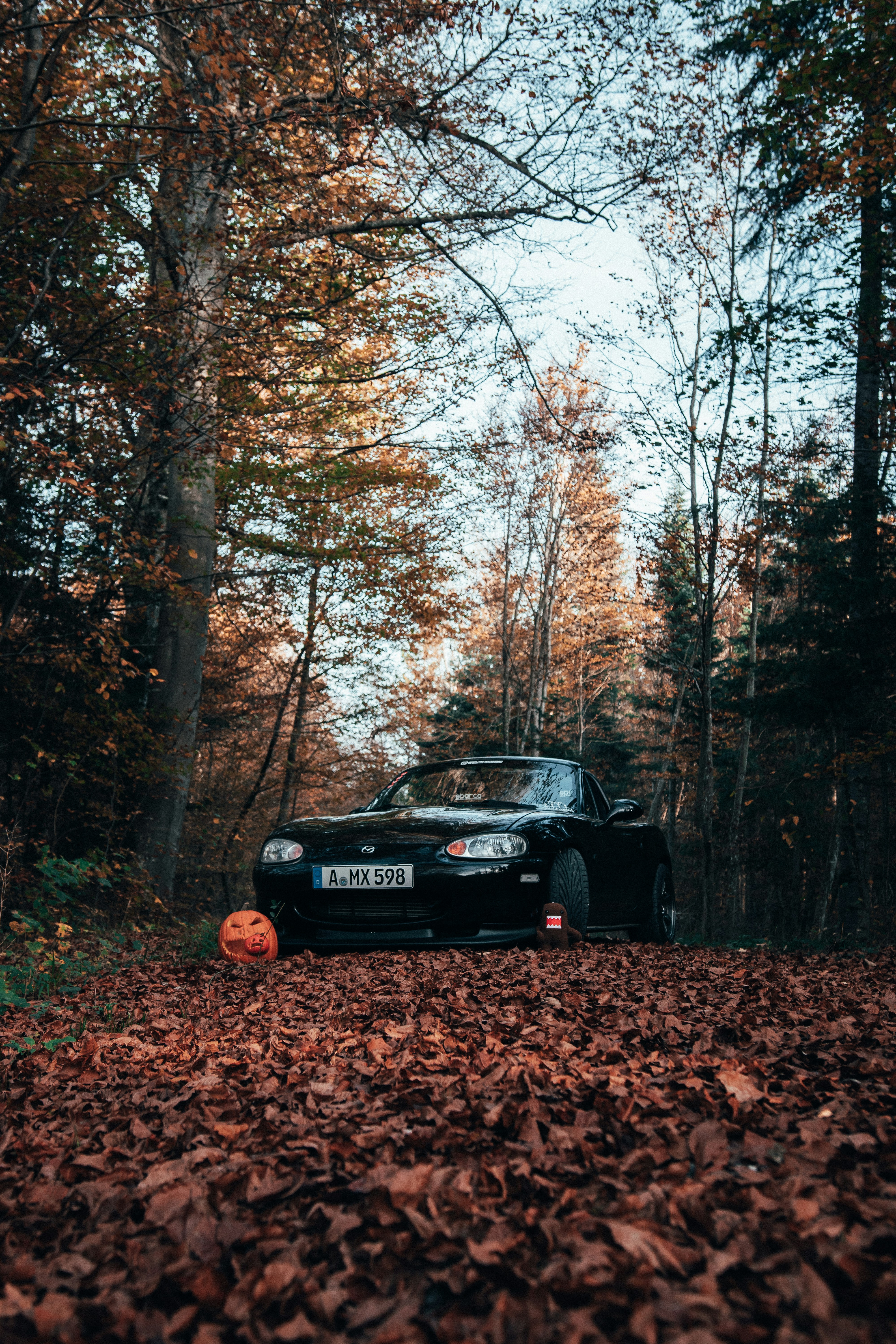 Photo by solbrigkevin