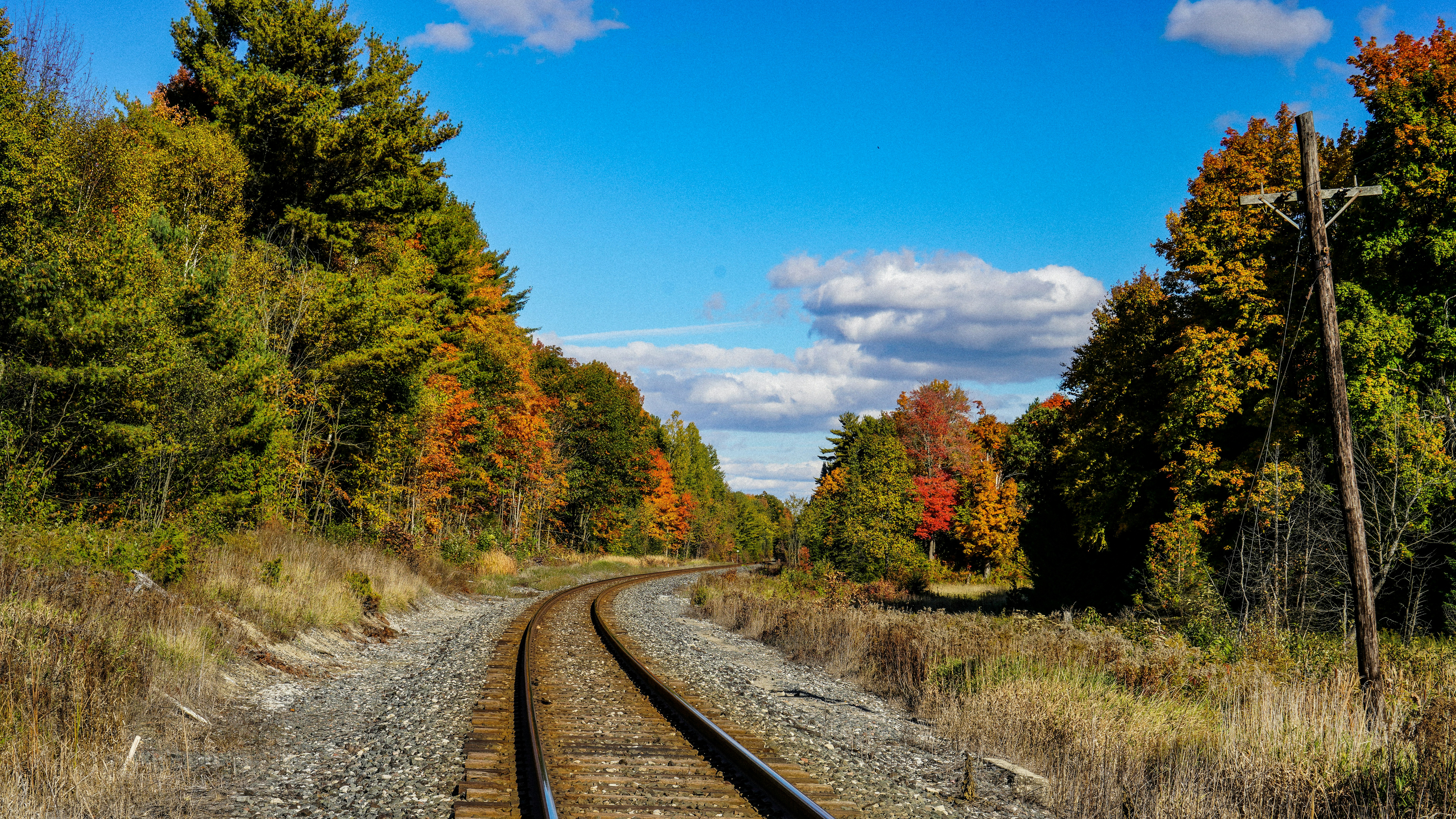 Photo by misha_levko