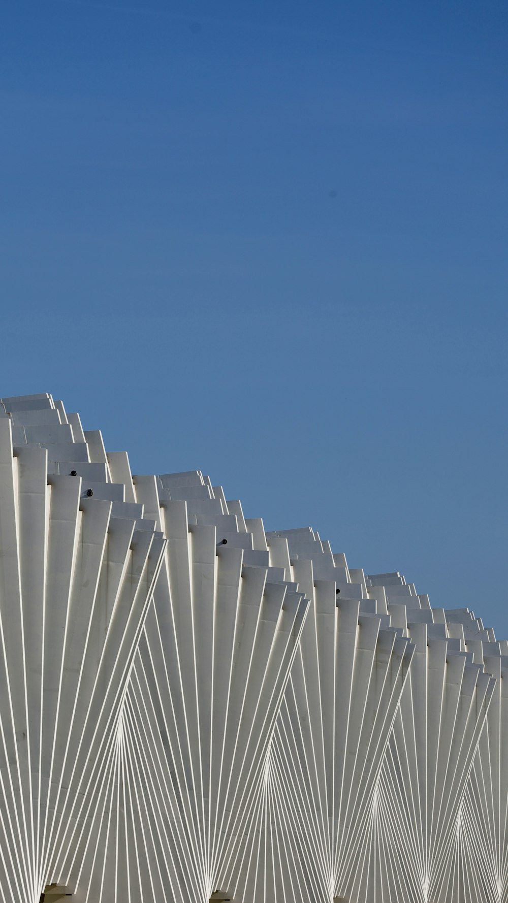 a group of solar panels