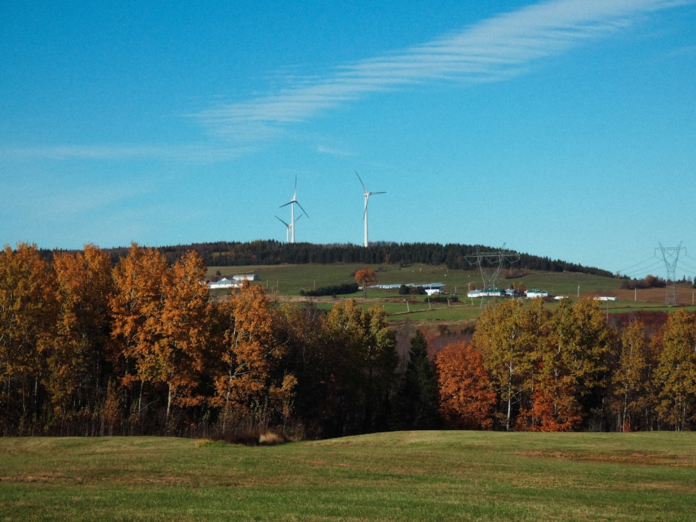 a field with trees and windmills in the background