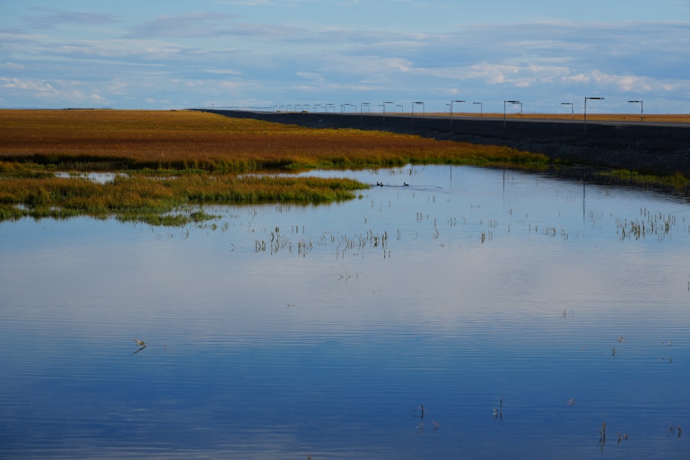 a body of water with grass and a hill in the background