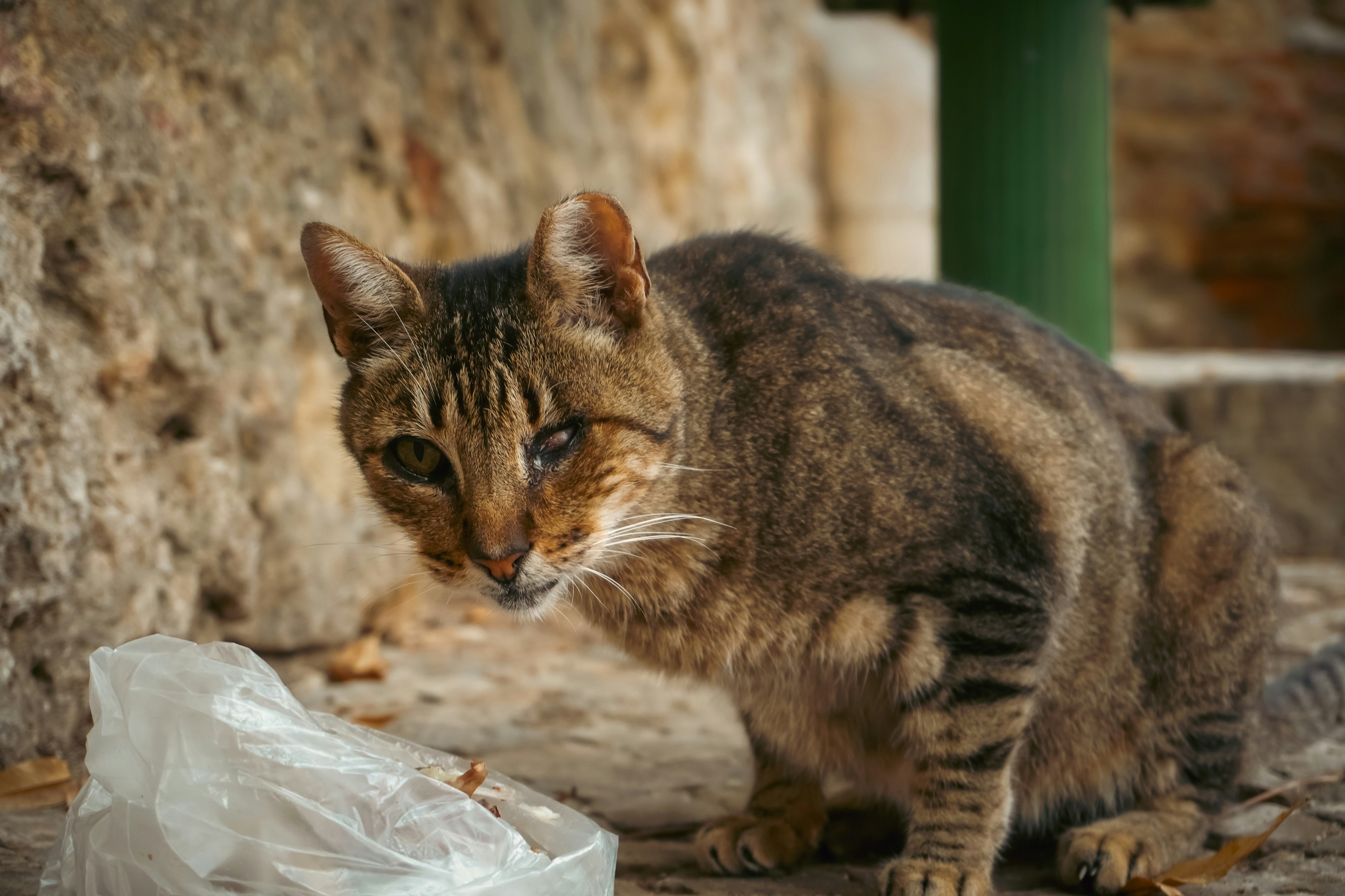 Photo by itsgettinranney