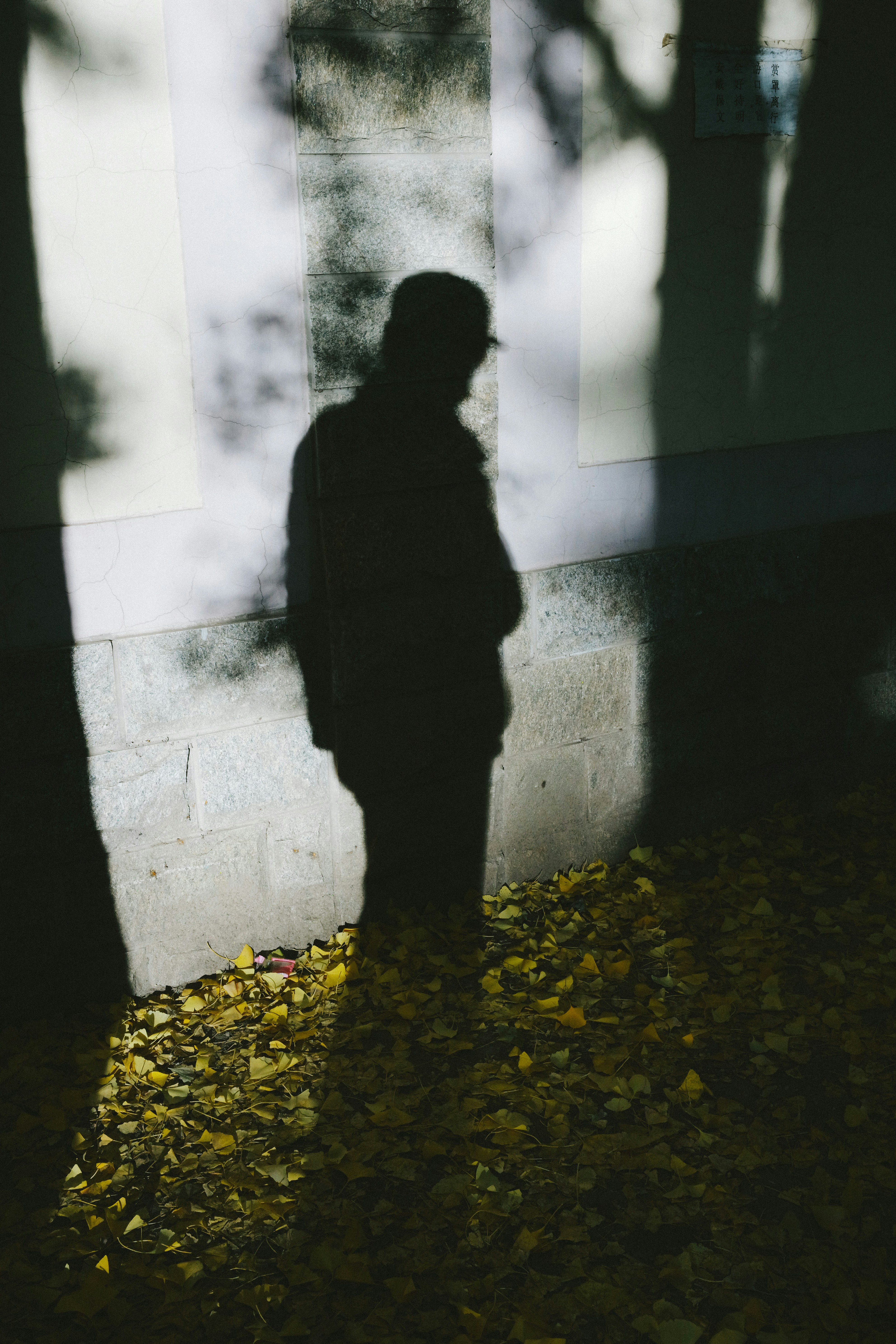 Photo by tommaomaoer