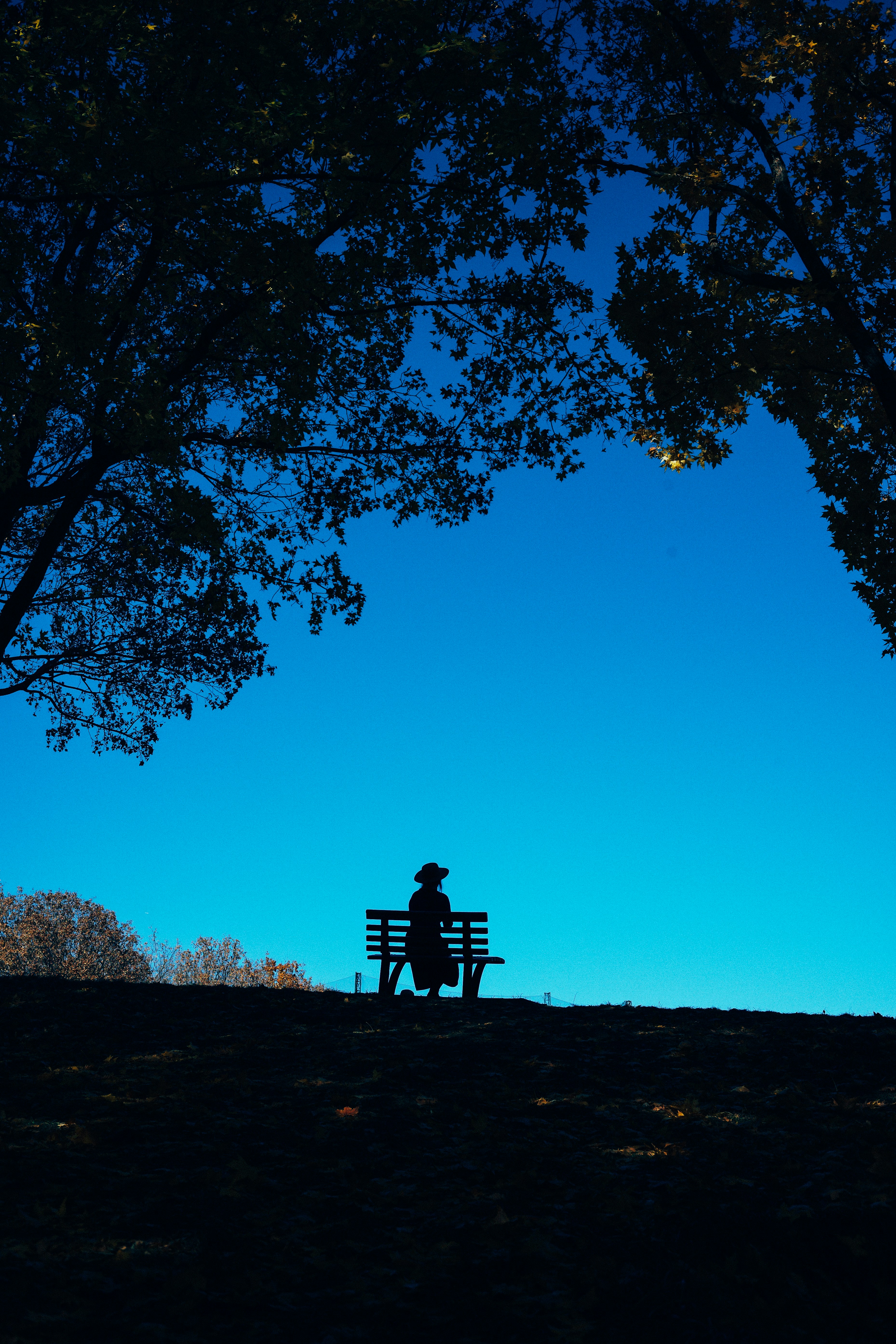 Photo by tommaomaoer