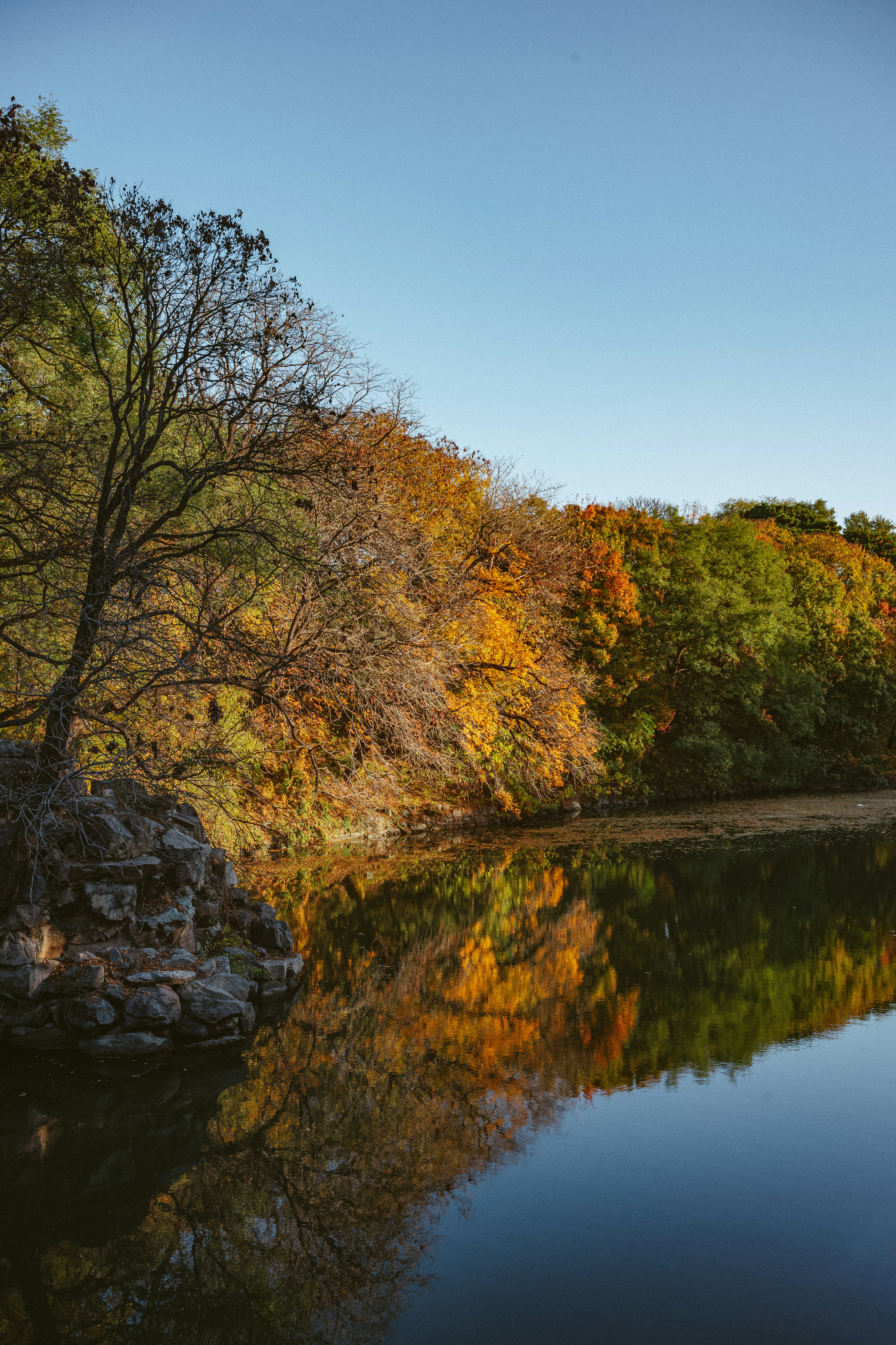 Photo by tommaomaoer