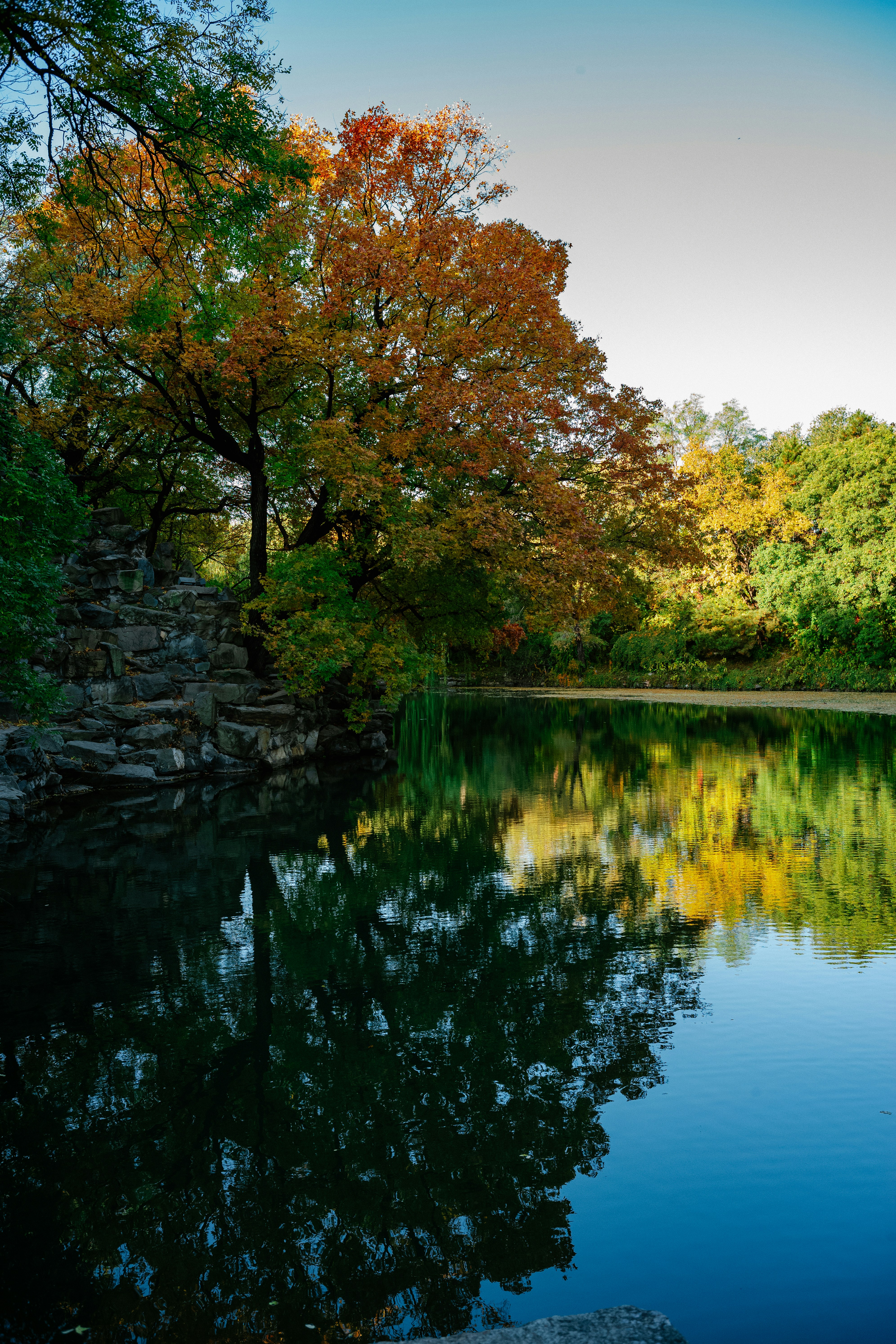 Photo by tommaomaoer