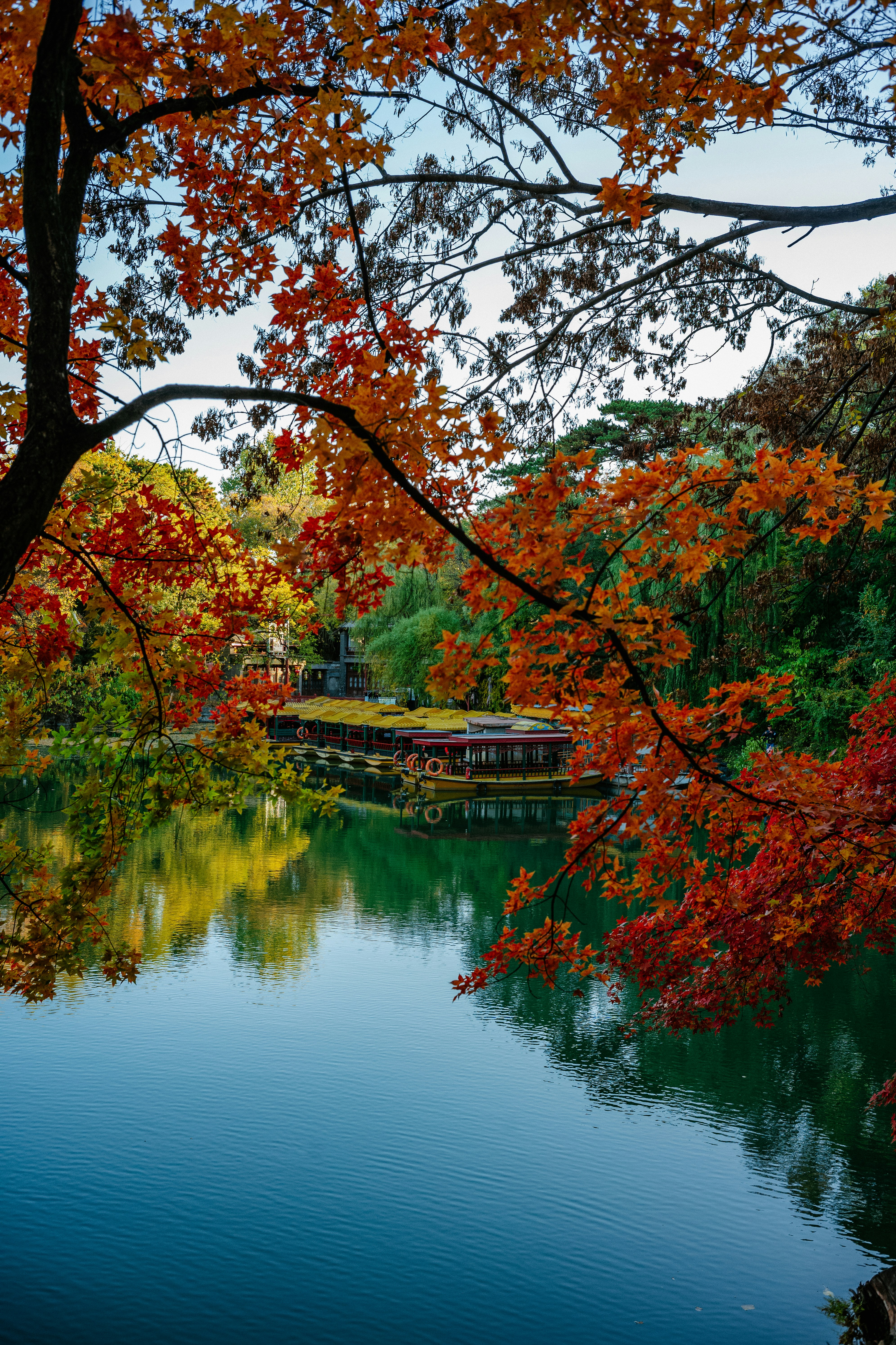 Photo by tommaomaoer