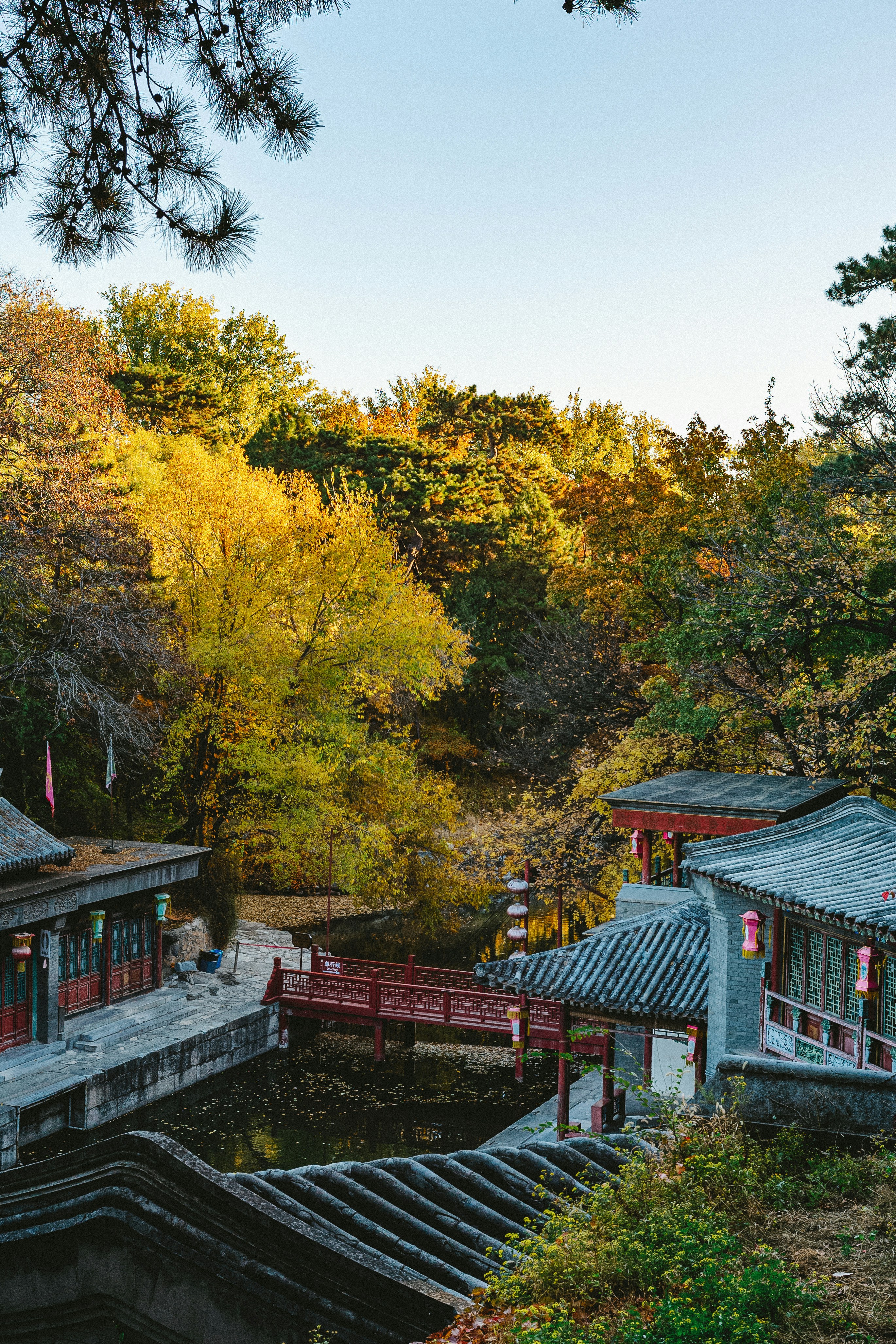 Photo by tommaomaoer