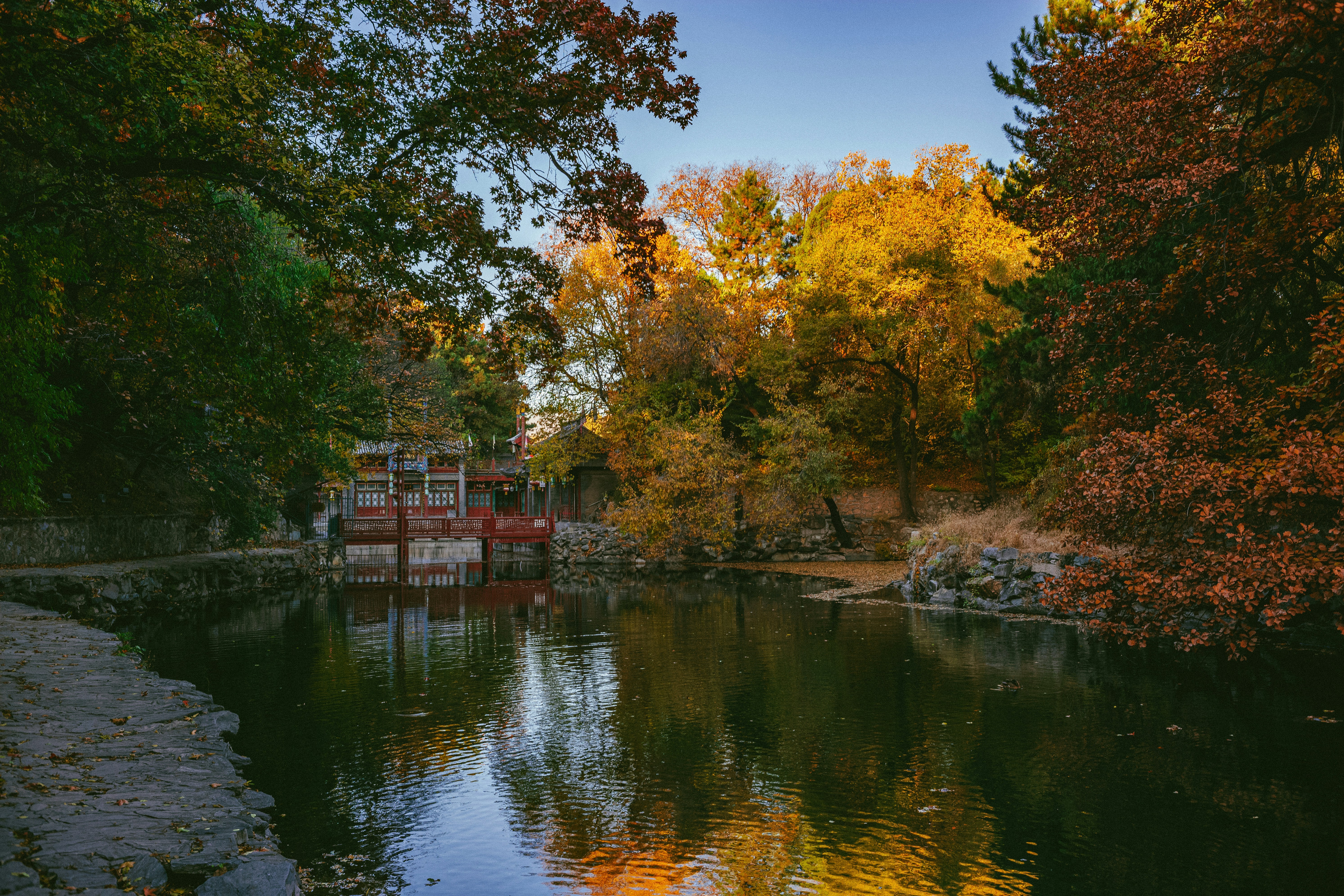 Photo by tommaomaoer