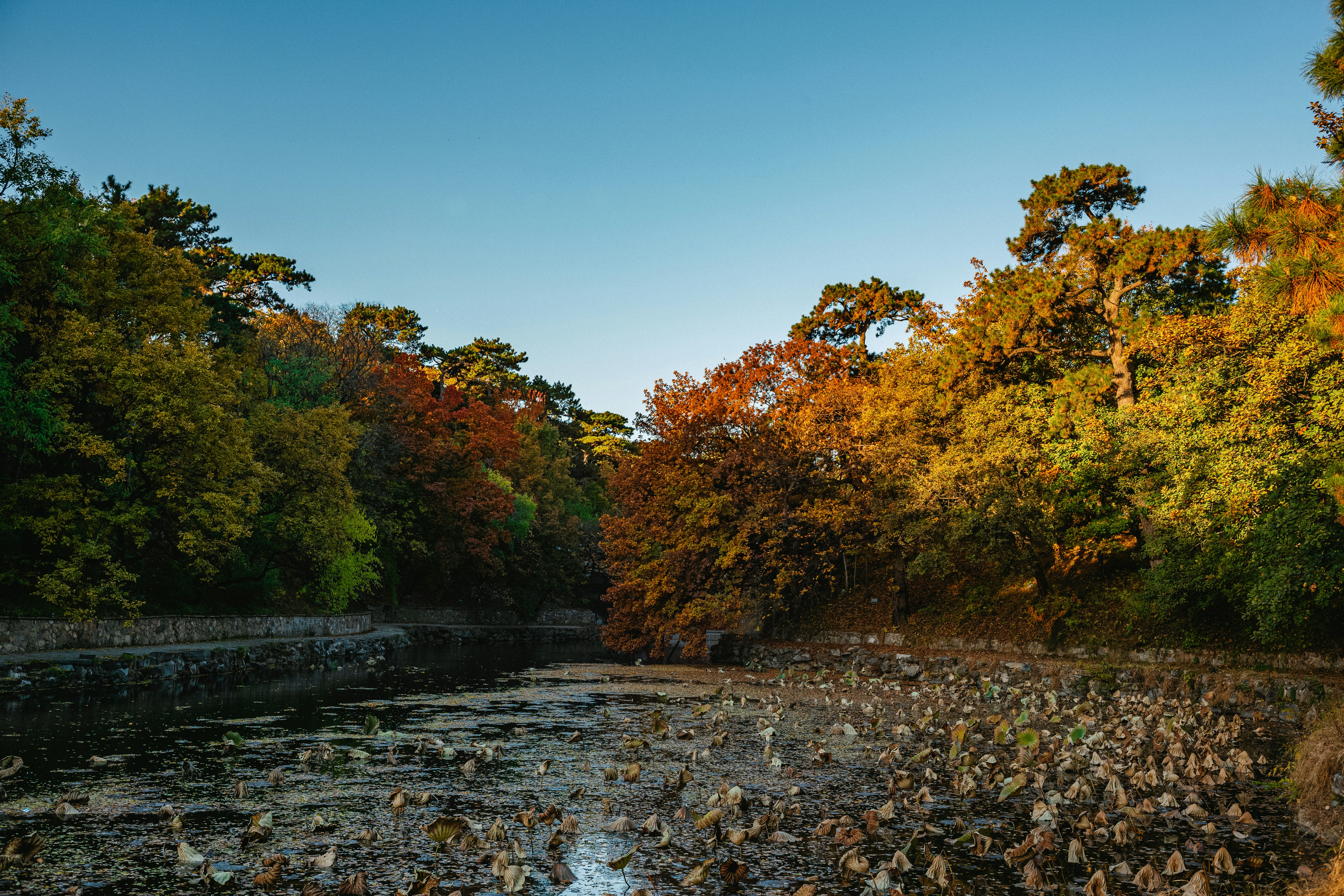 Photo by tommaomaoer