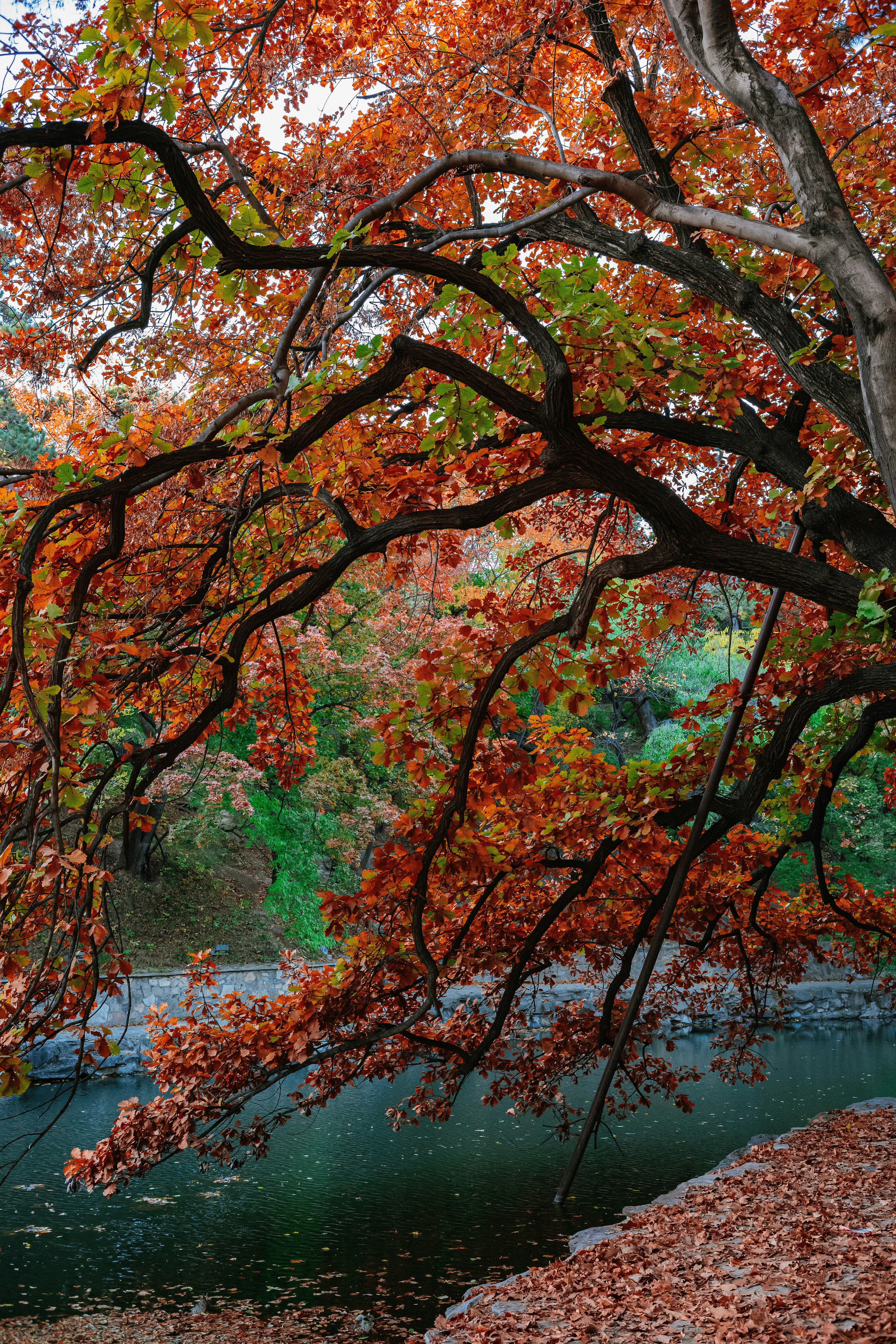 Photo by tommaomaoer