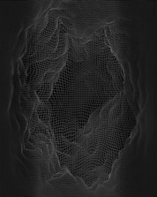 A complex 3D wireframe structure resembling a topographic map or digital terrain is displayed. The lines form a grid pattern with various elevations and depressions, creating an abstract and intricate design against a dark background.