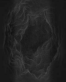 A complex 3D wireframe structure resembling a topographic map or digital terrain is displayed. The lines form a grid pattern with various elevations and depressions, creating an abstract and intricate design against a dark background.