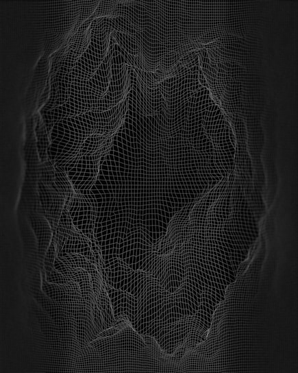 A complex 3D wireframe structure resembling a topographic map or digital terrain is displayed. The lines form a grid pattern with various elevations and depressions, creating an abstract and intricate design against a dark background.