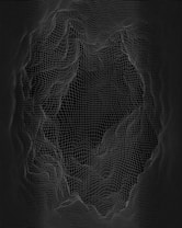 A complex 3D wireframe structure resembling a topographic map or digital terrain is displayed. The lines form a grid pattern with various elevations and depressions, creating an abstract and intricate design against a dark background.