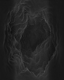 A complex 3D wireframe structure resembling a topographic map or digital terrain is displayed. The lines form a grid pattern with various elevations and depressions, creating an abstract and intricate design against a dark background.
