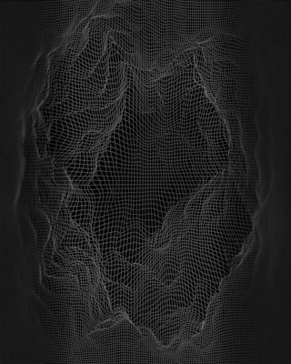 A complex 3D wireframe structure resembling a topographic map or digital terrain is displayed. The lines form a grid pattern with various elevations and depressions, creating an abstract and intricate design against a dark background.