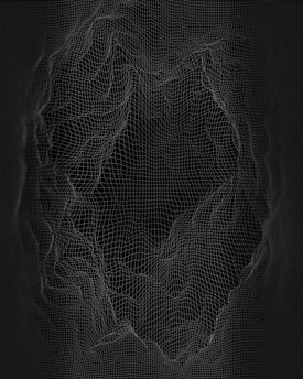 A complex 3D wireframe structure resembling a topographic map or digital terrain is displayed. The lines form a grid pattern with various elevations and depressions, creating an abstract and intricate design against a dark background.