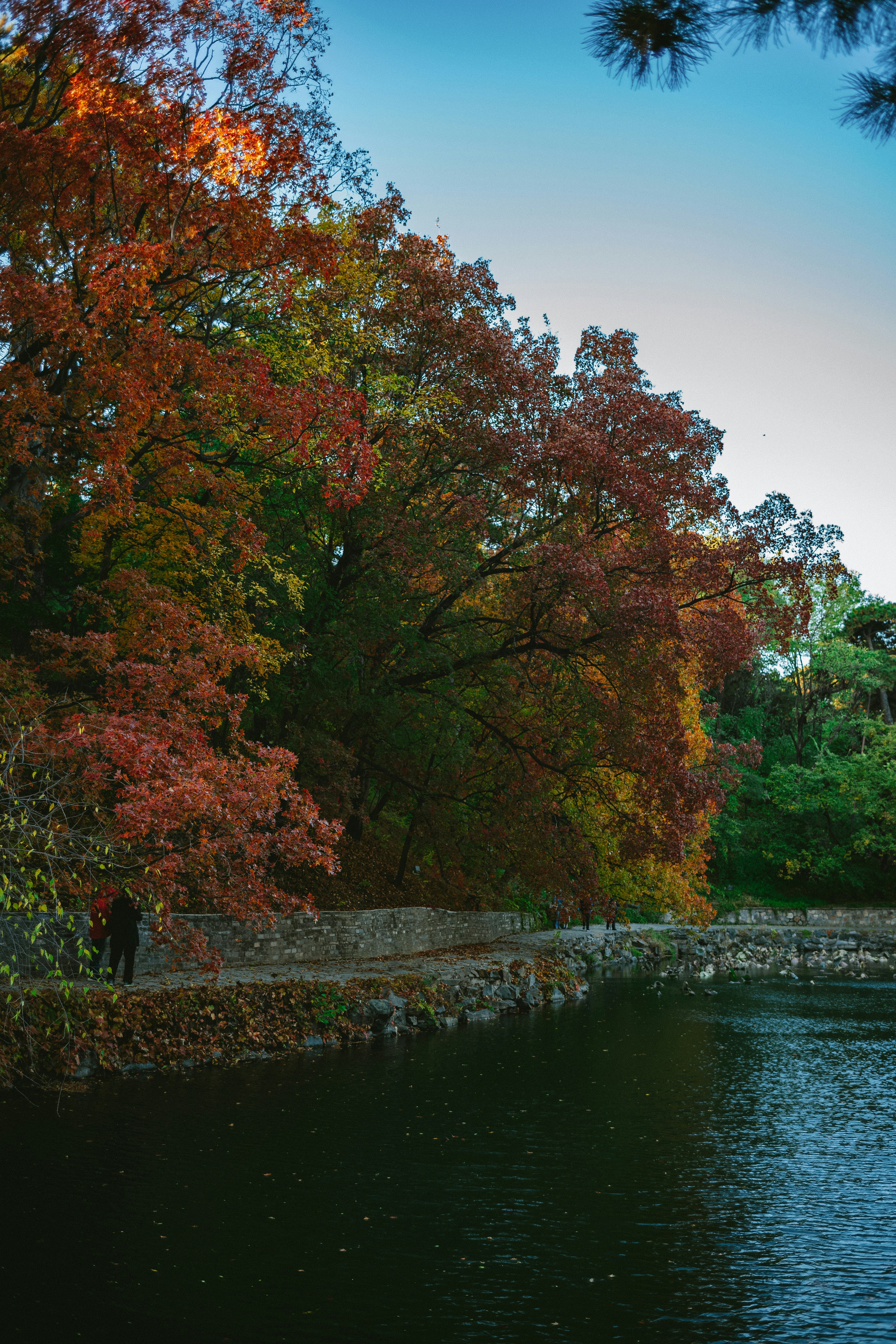 Photo by tommaomaoer