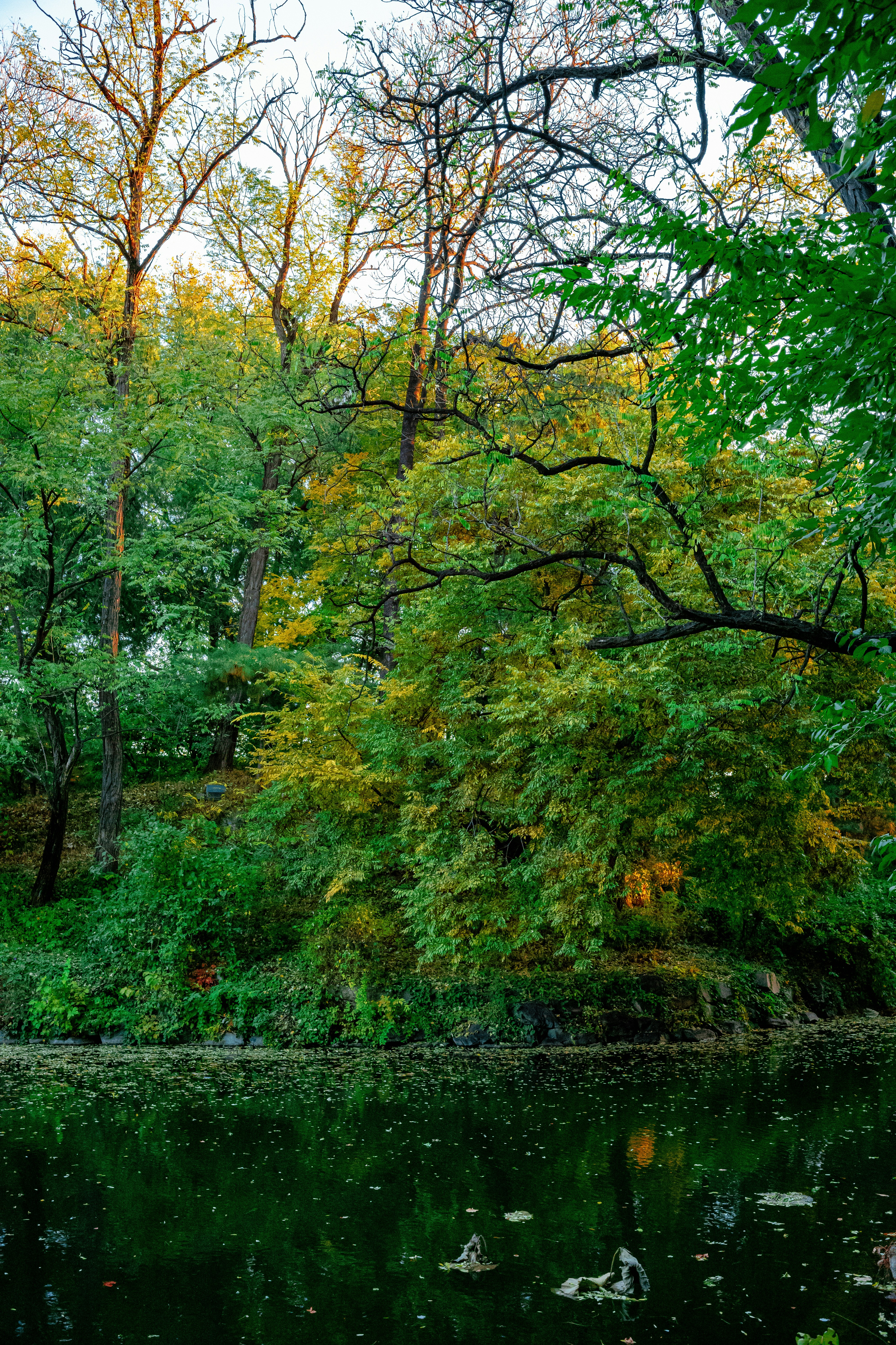 Photo by tommaomaoer