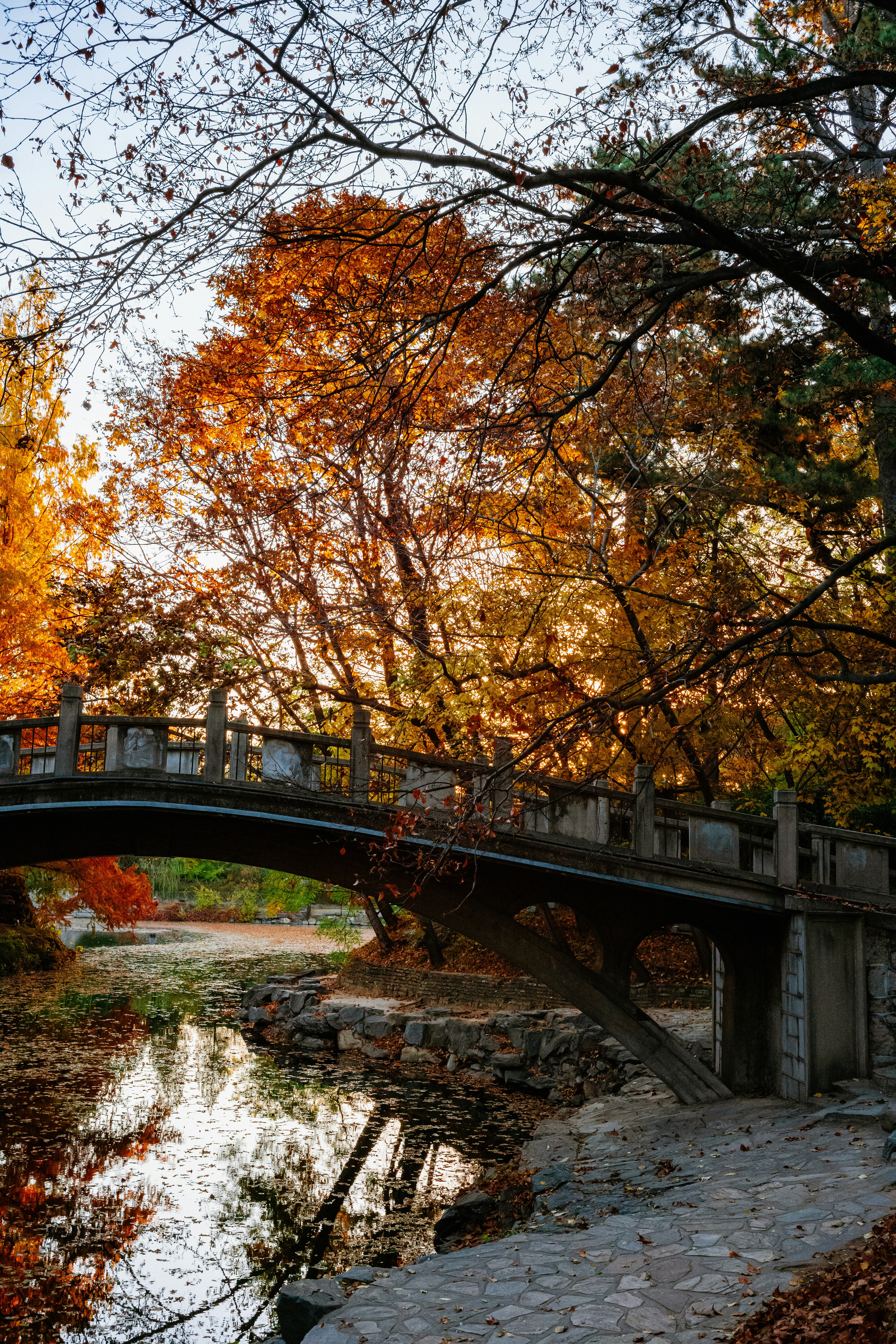 Photo by tommaomaoer