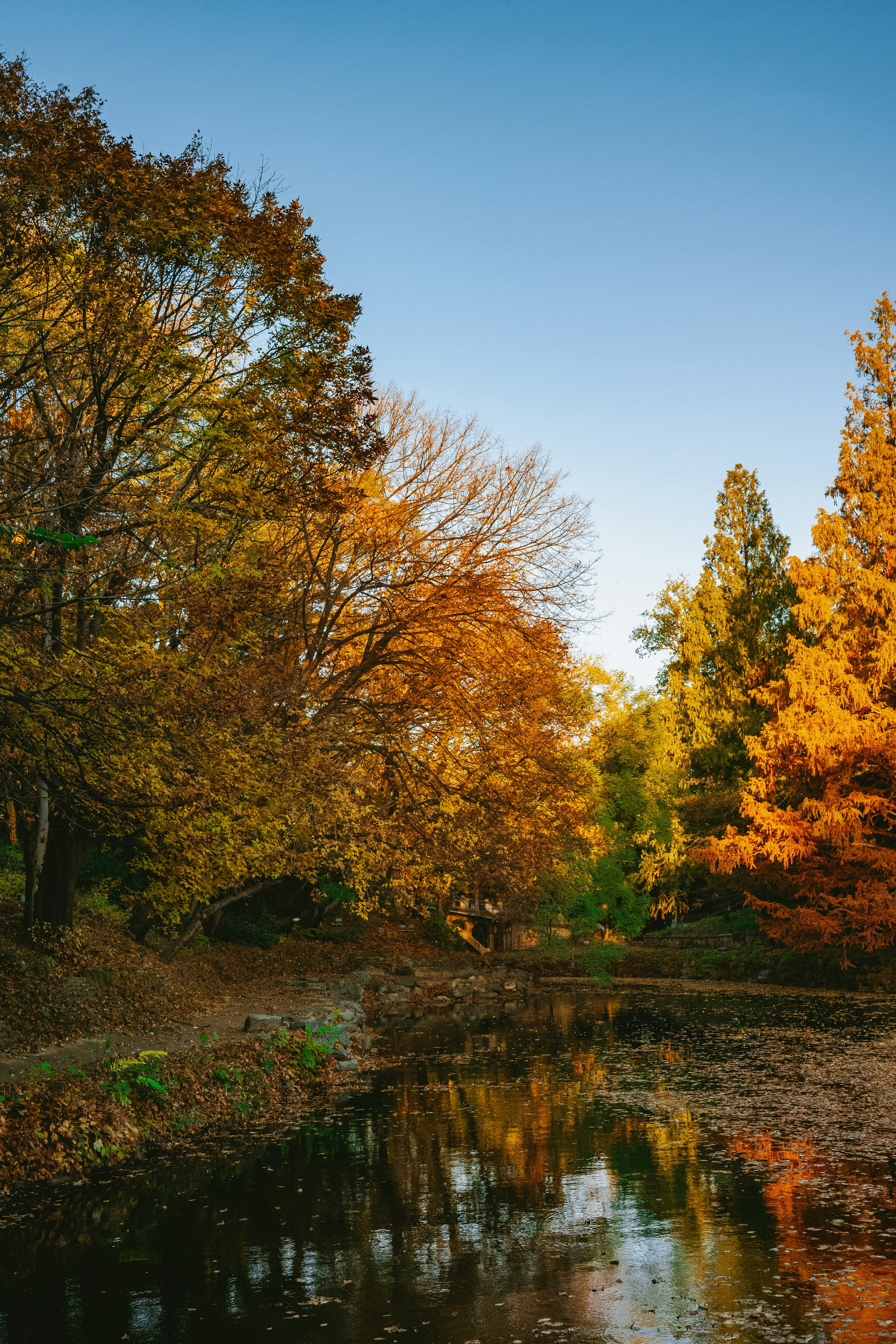 Photo by tommaomaoer