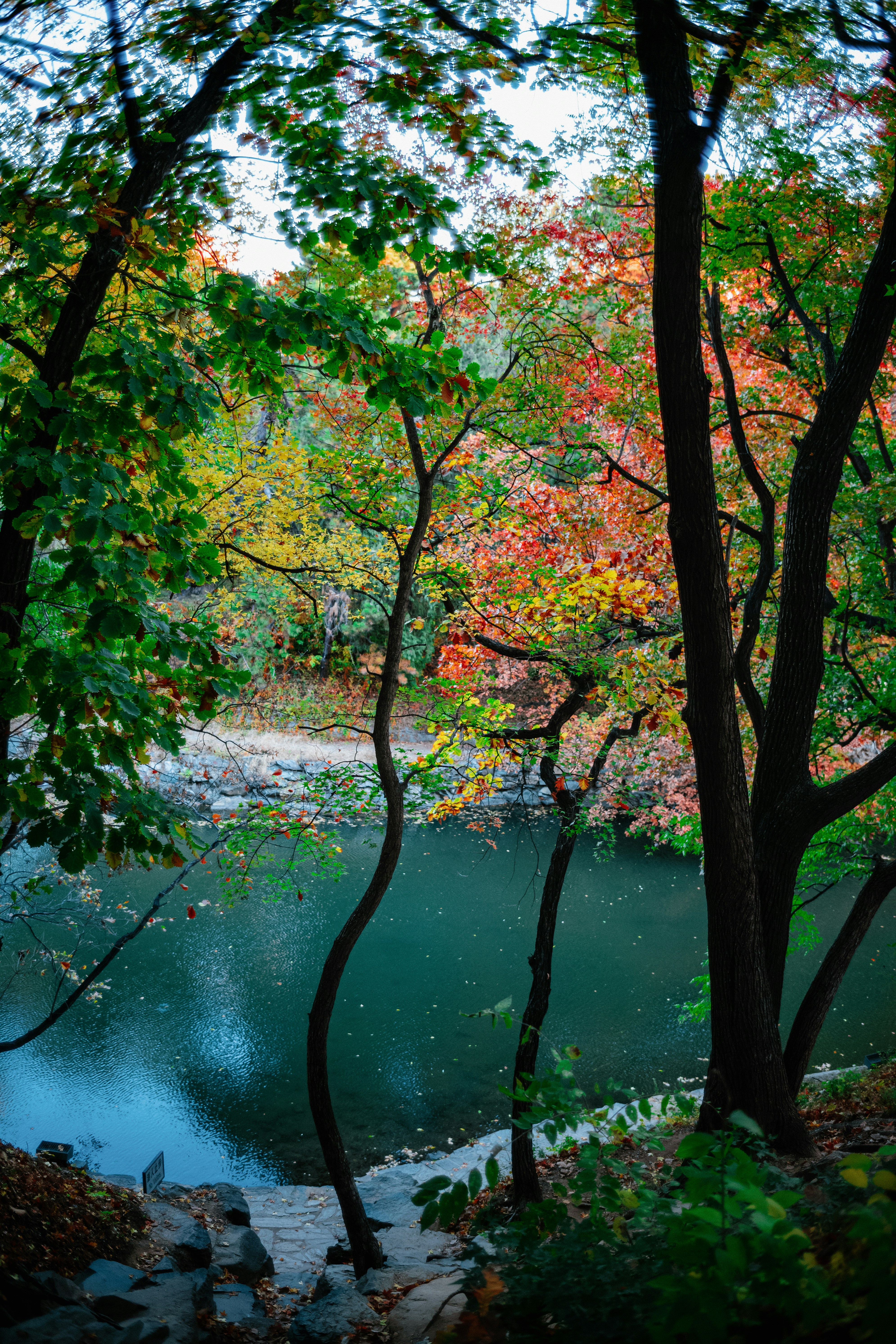 Photo by tommaomaoer