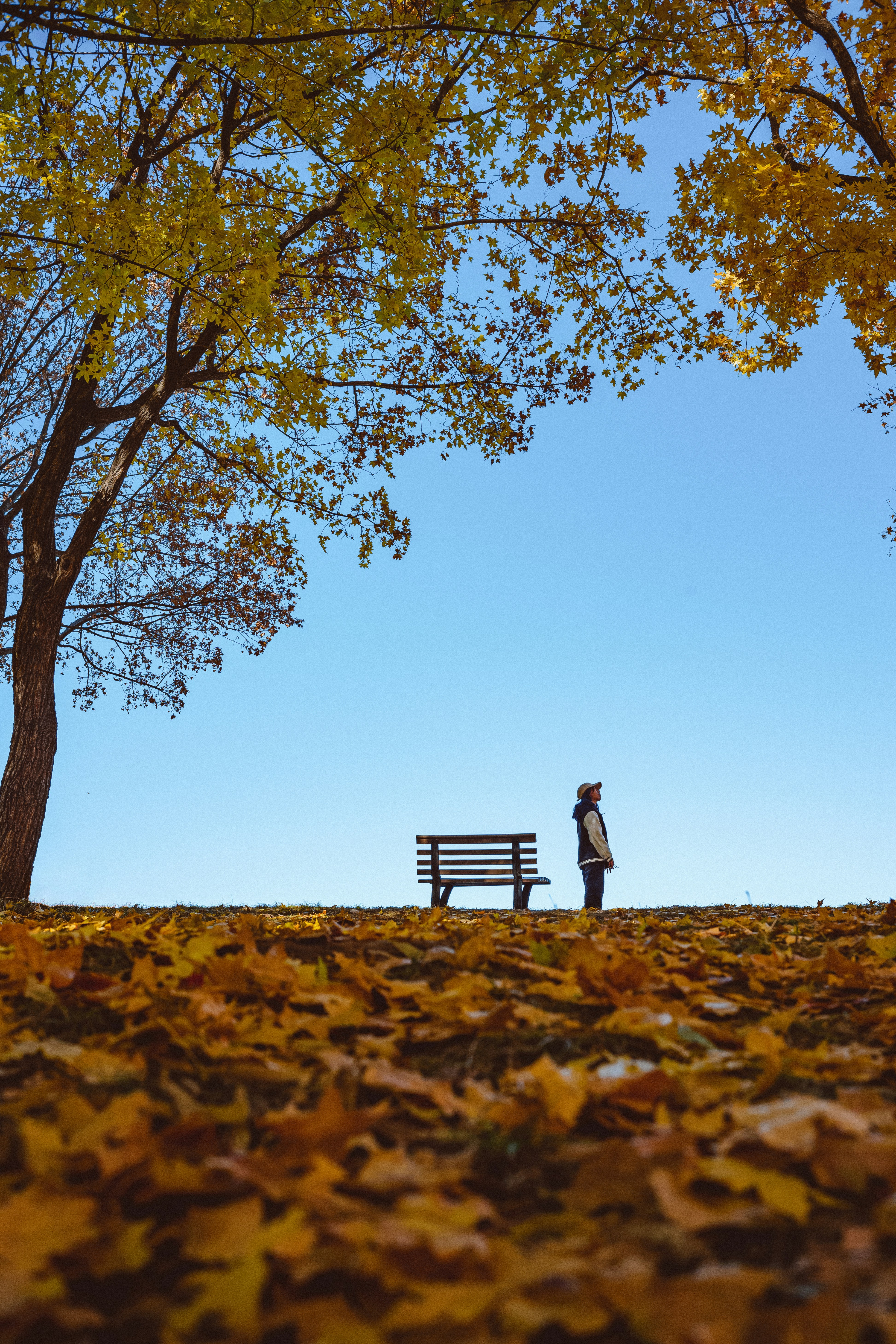 Photo by tommaomaoer