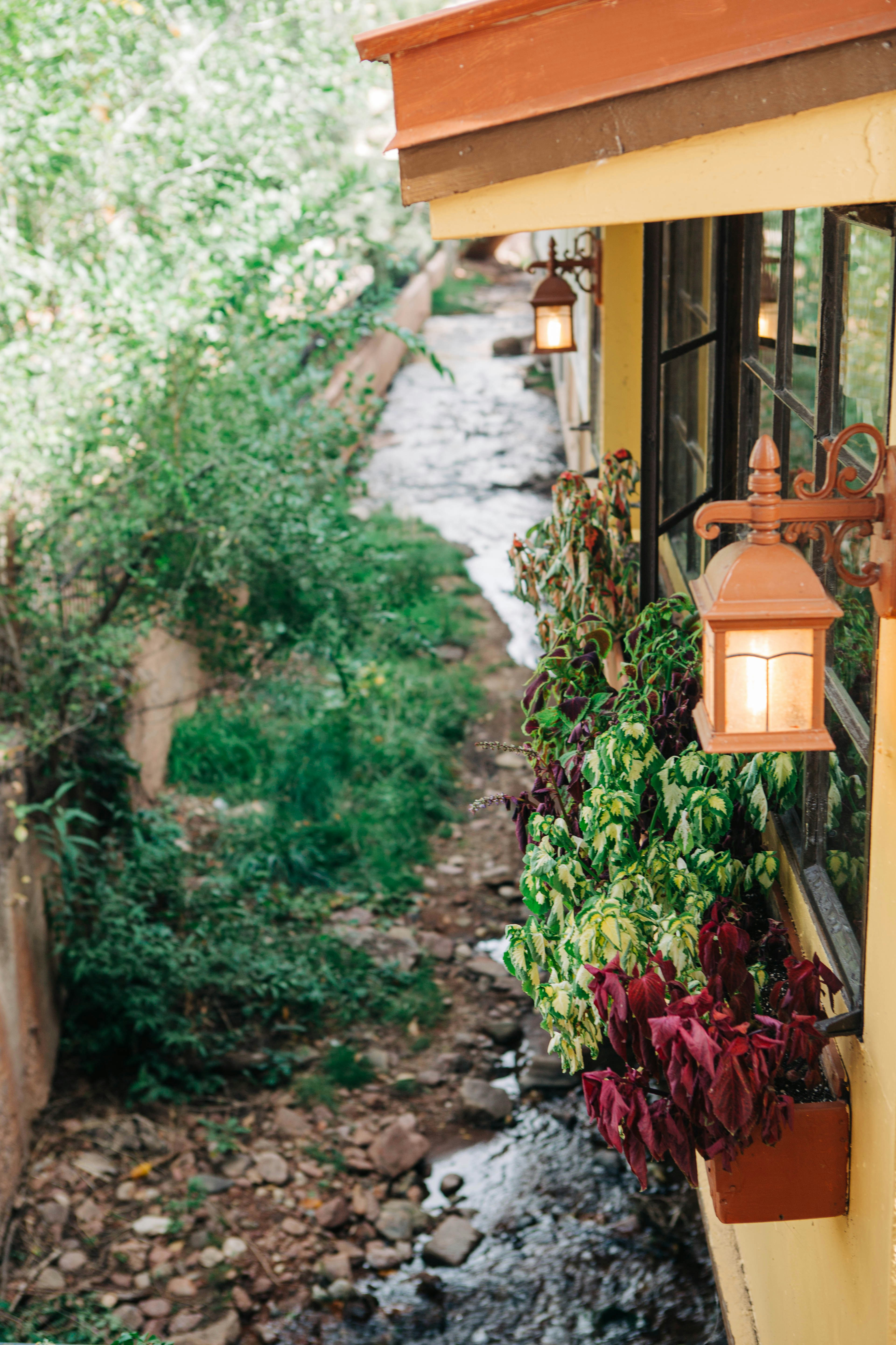 Photo by Lexi Laginess on Unsplash